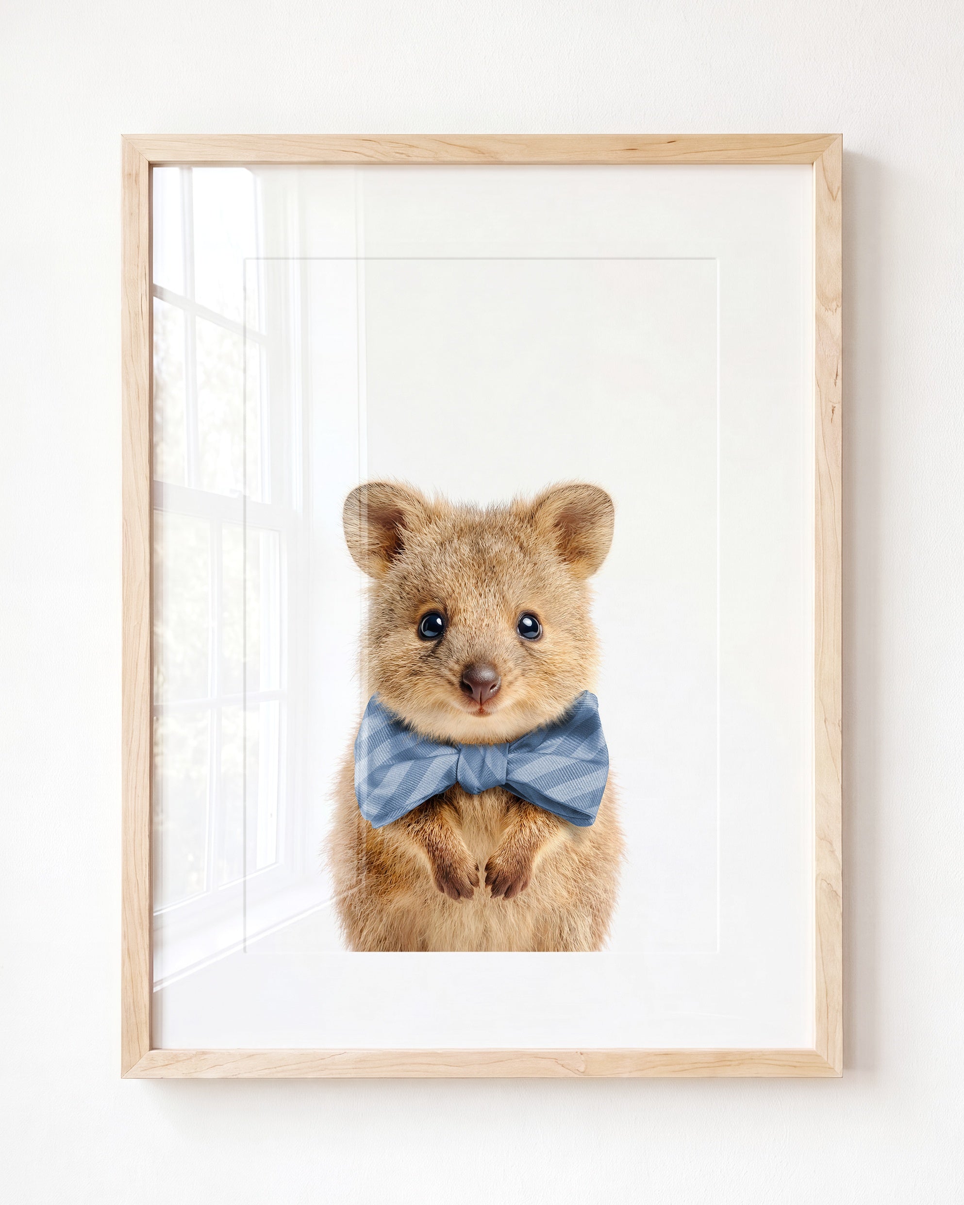 Baby Quokka