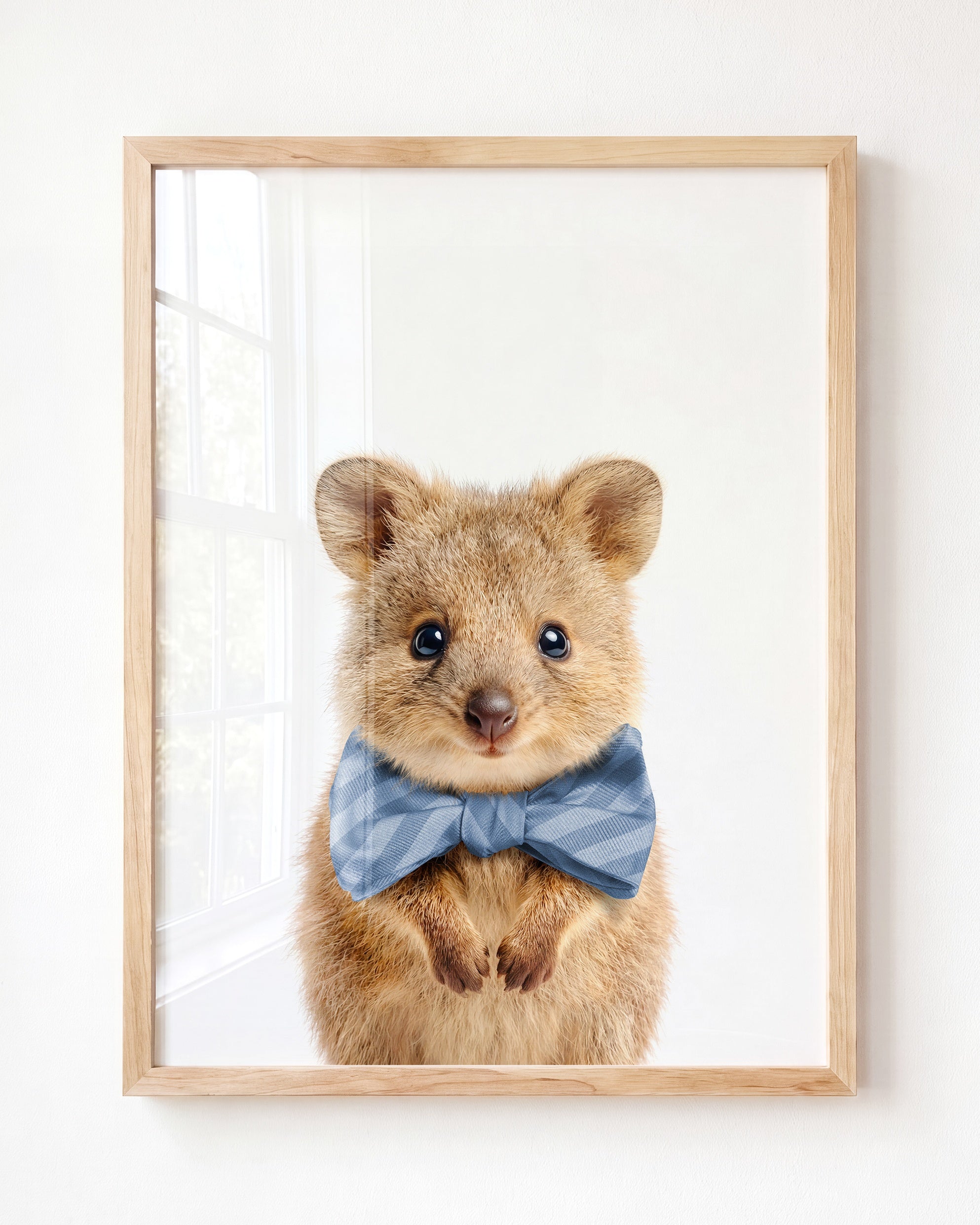 Baby Quokka