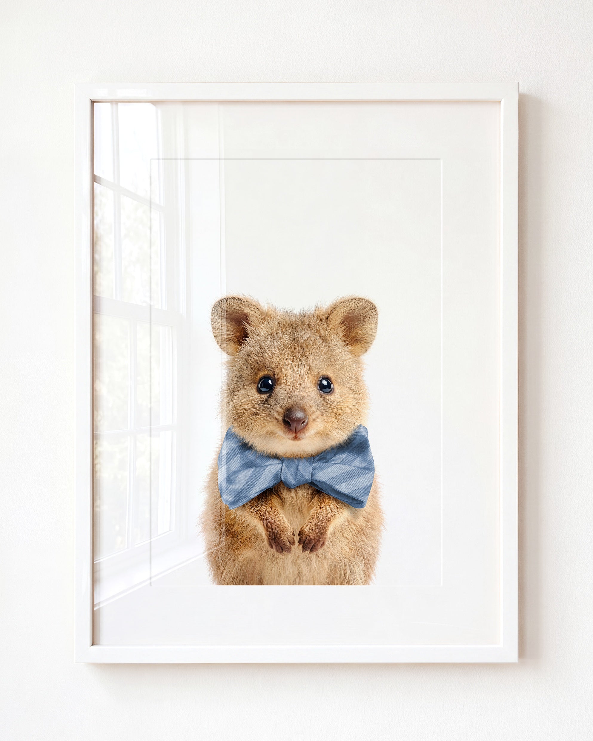 Baby Quokka