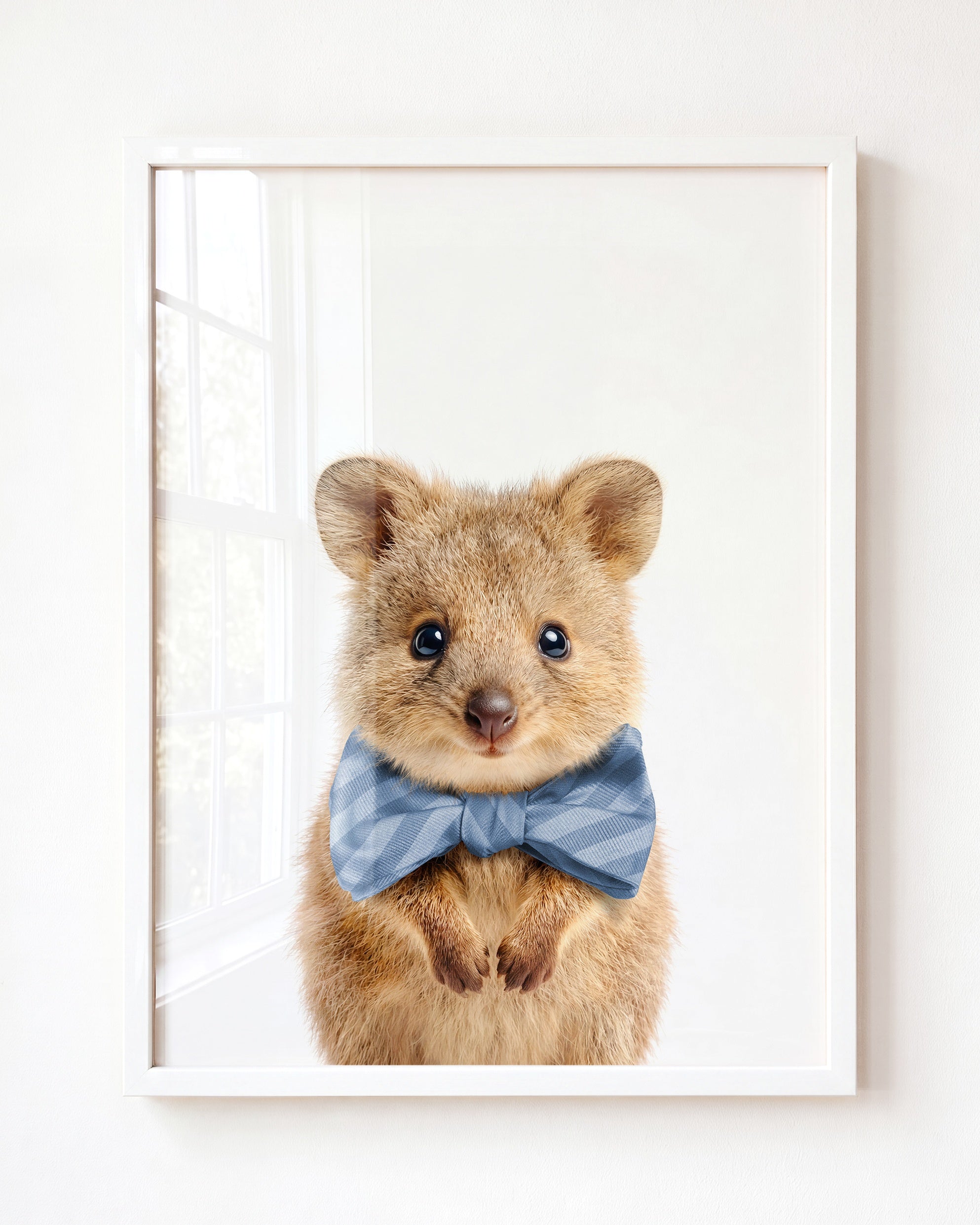 Baby Quokka