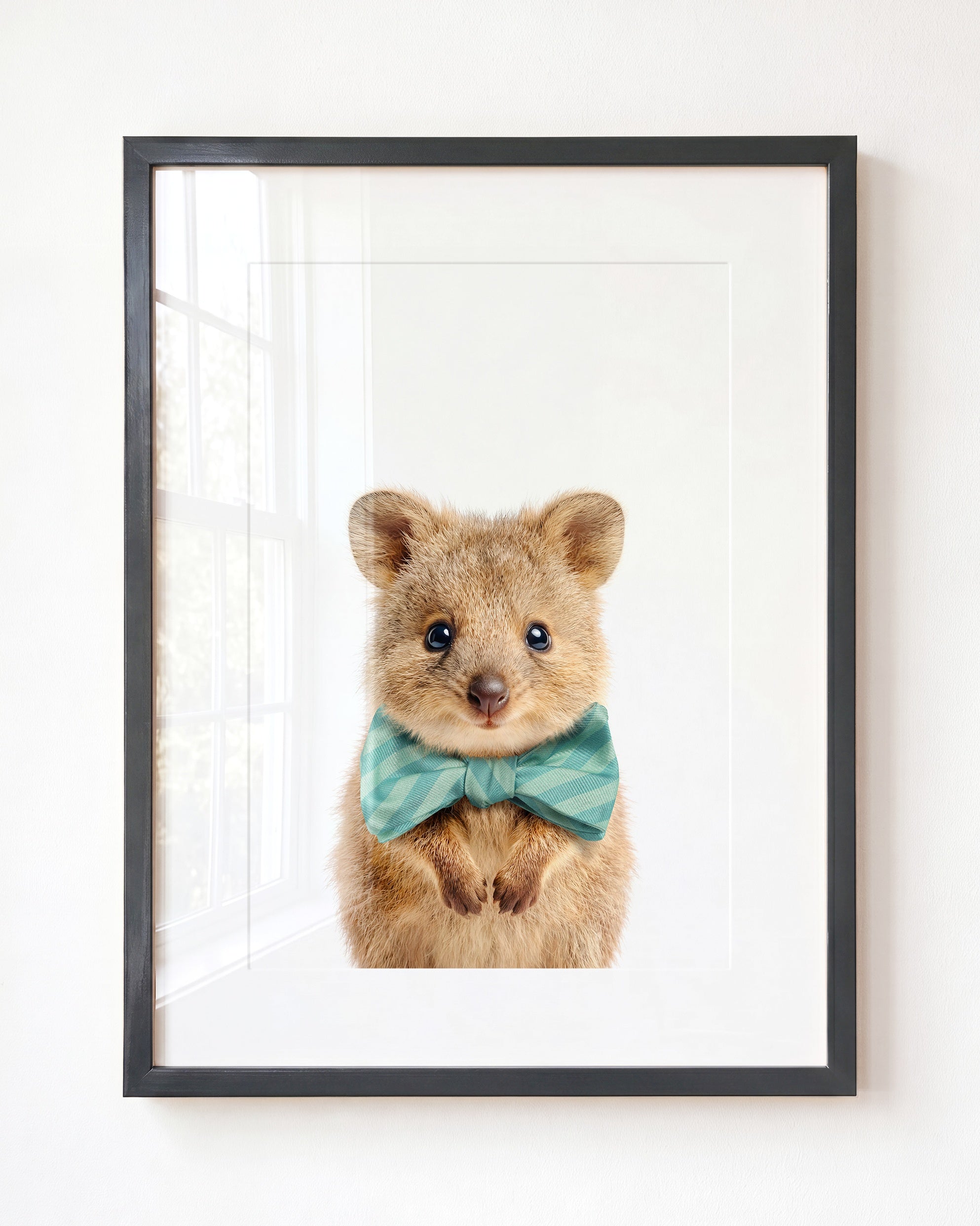 Baby Quokka