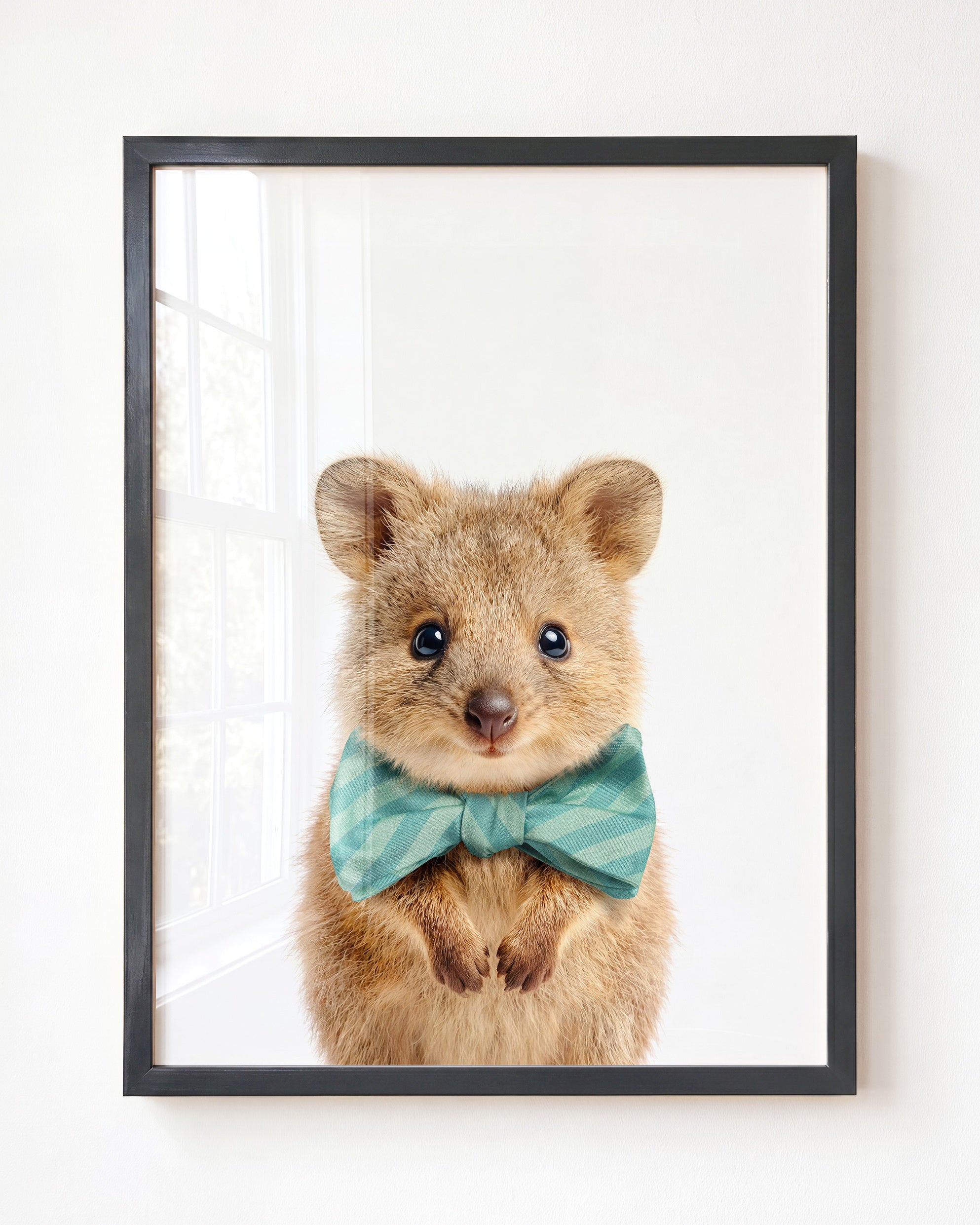 Baby Quokka