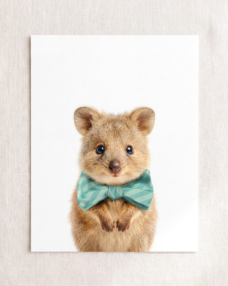 Bow Tie