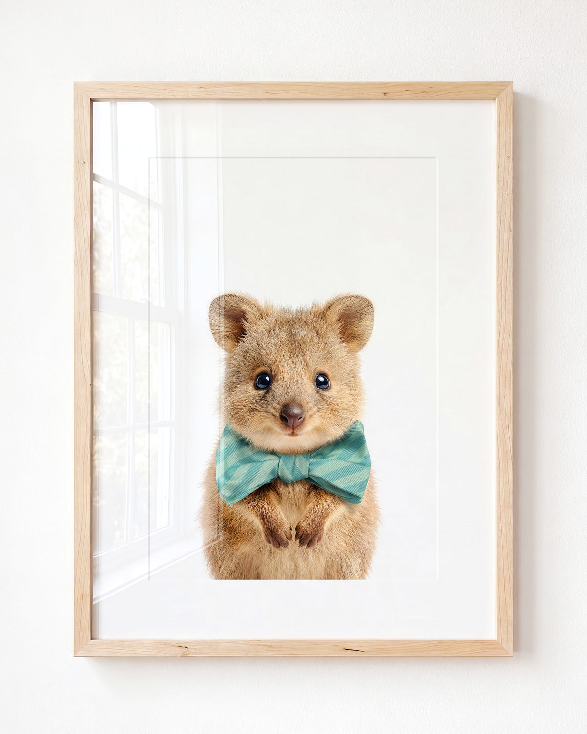 Baby Quokka — Framed