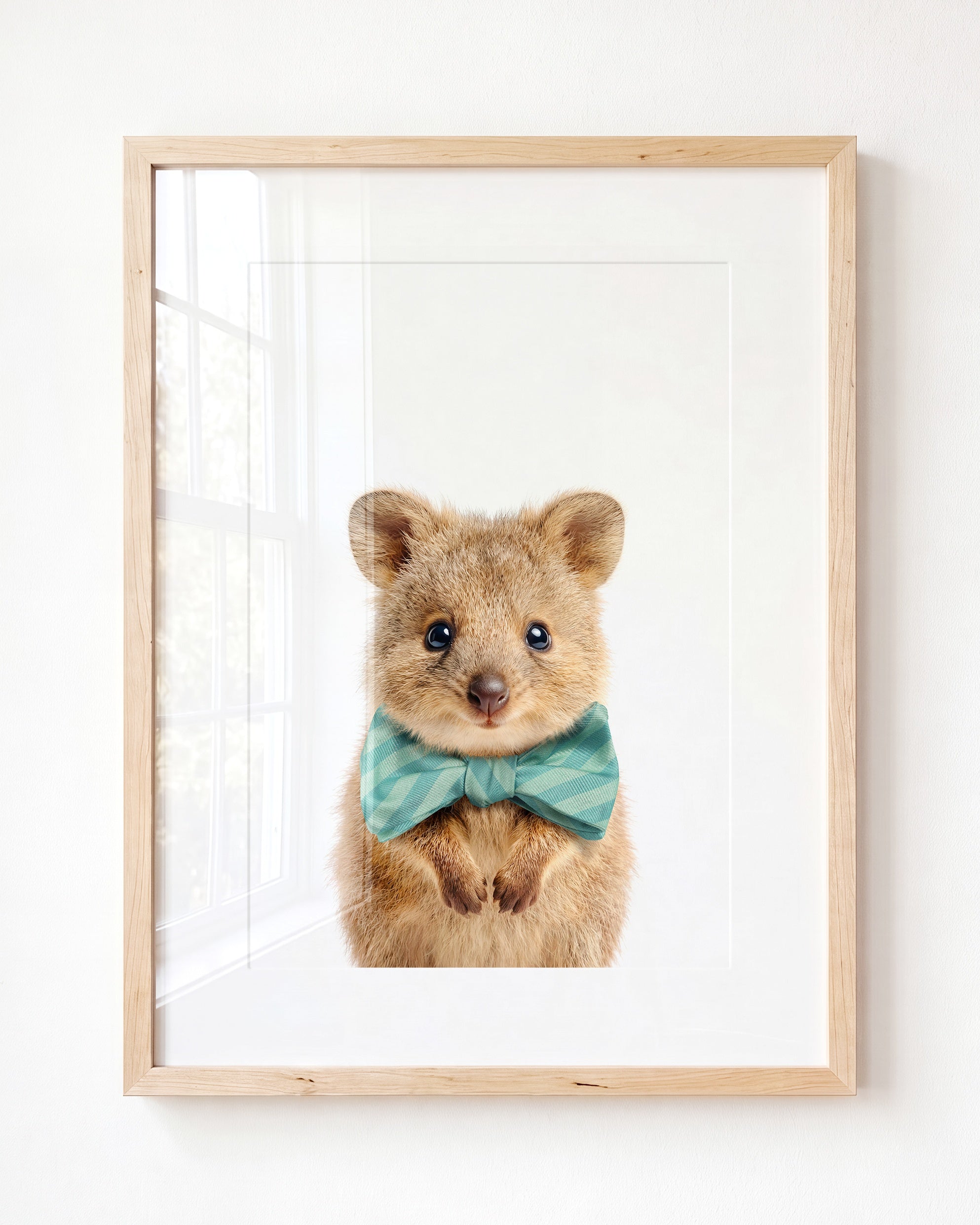 Baby Quokka