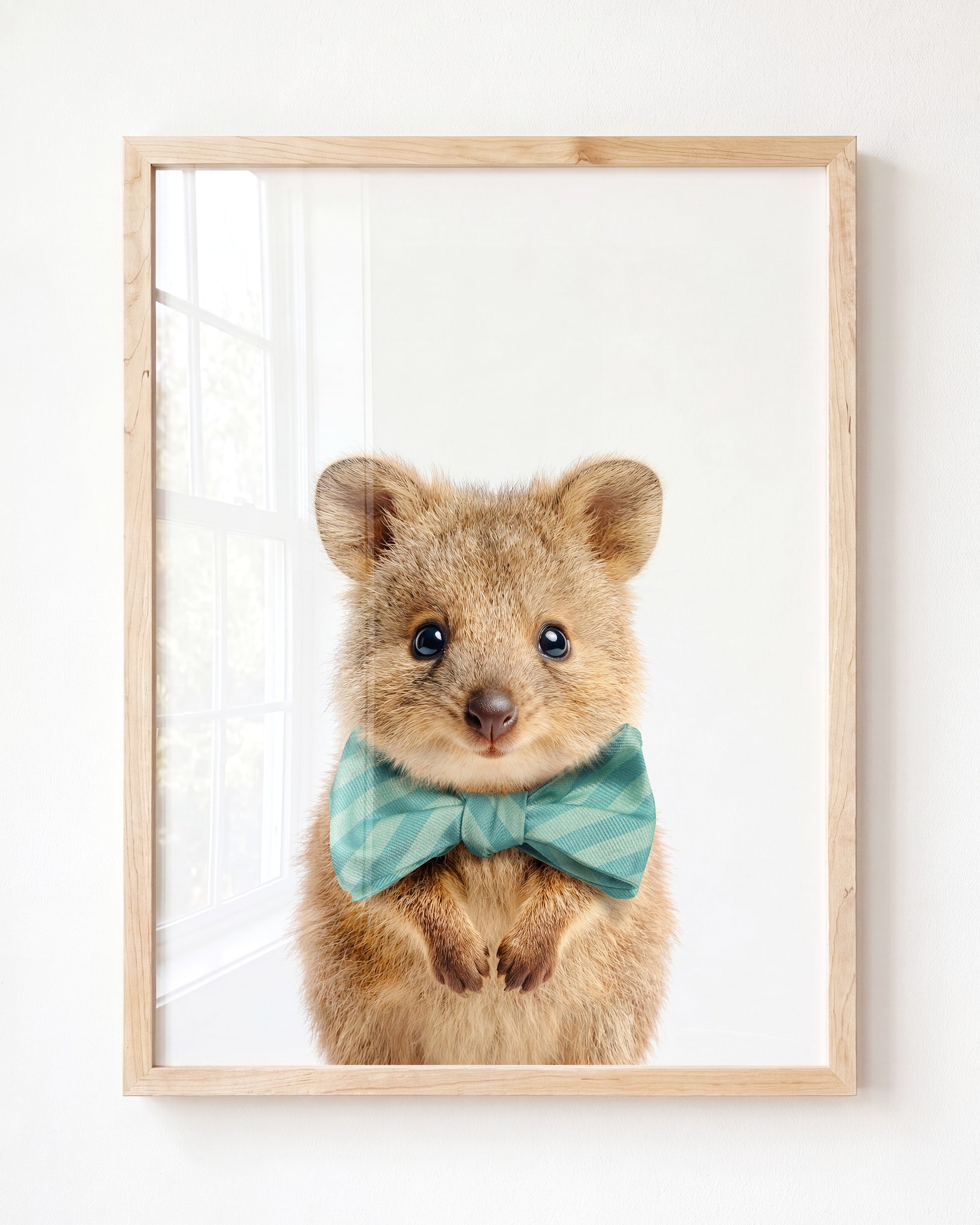 Baby Quokka