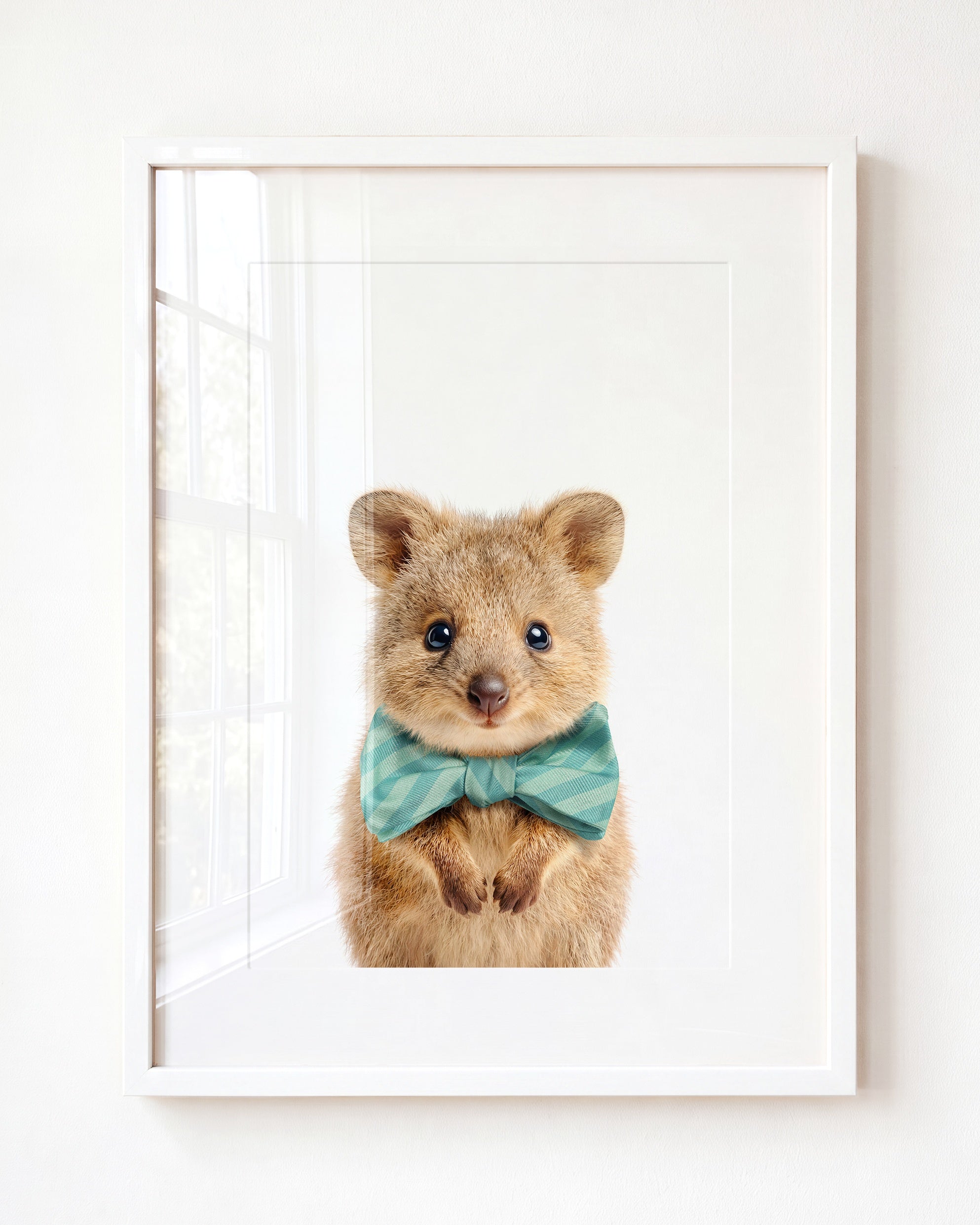 Baby Quokka