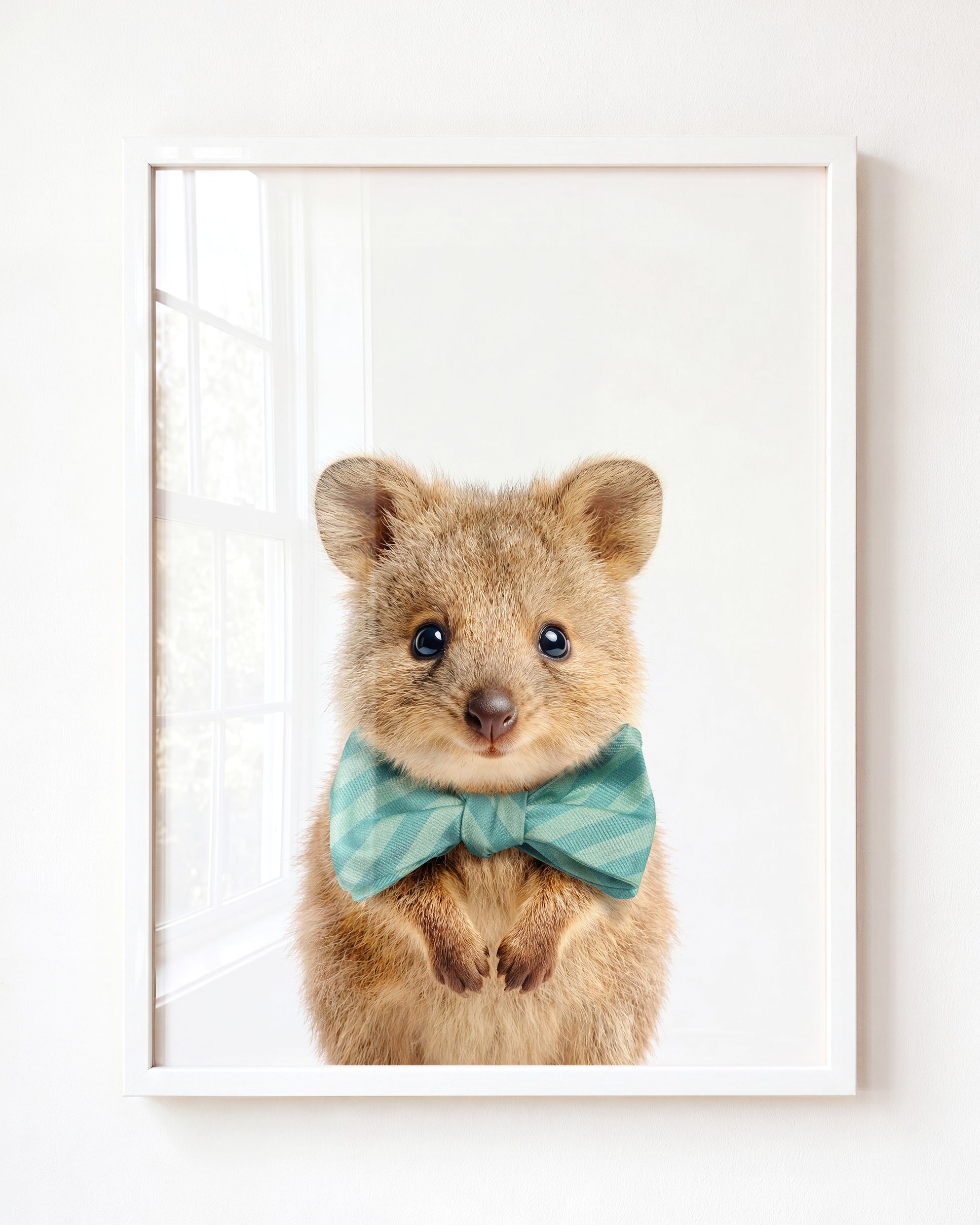 Baby Quokka