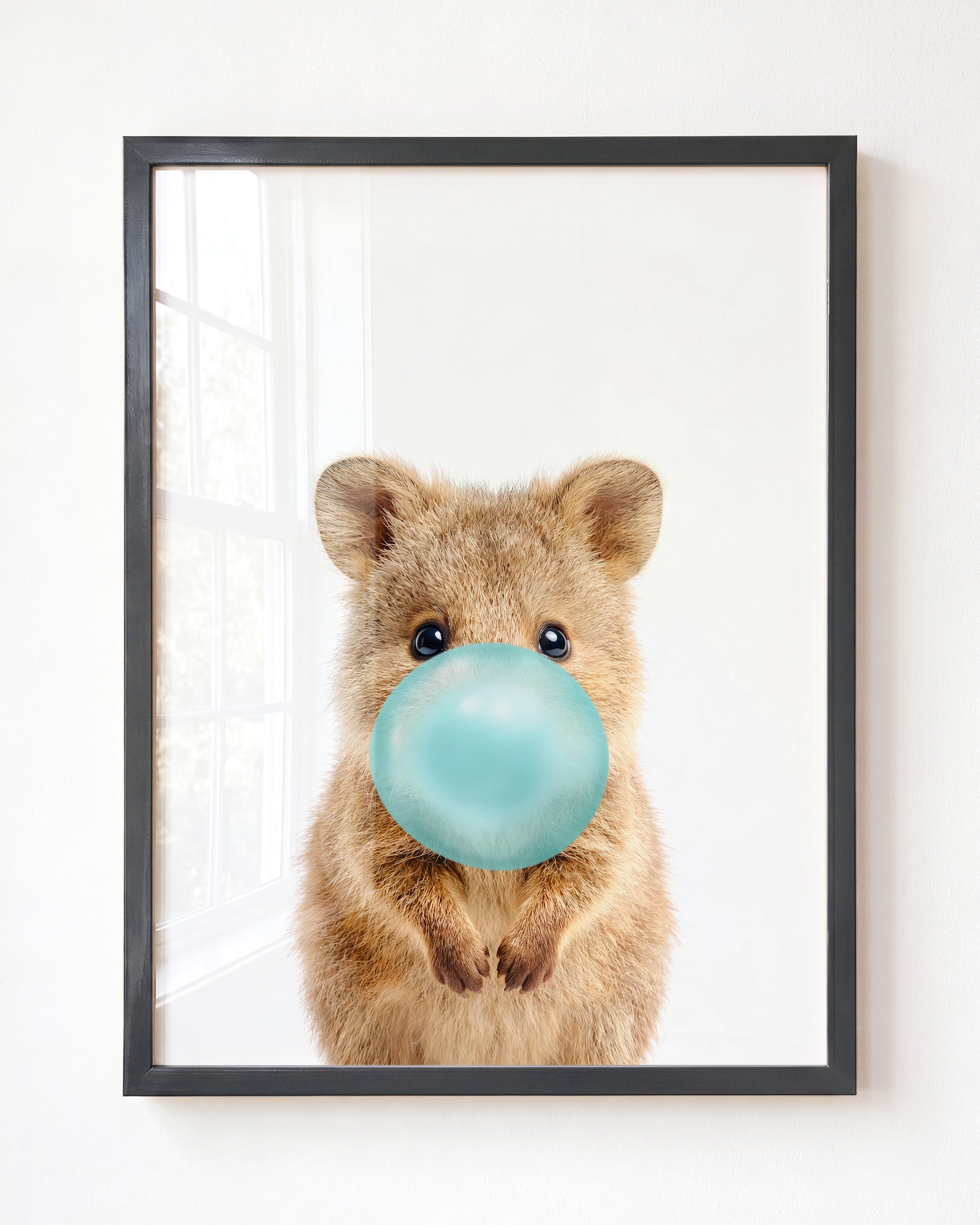 Baby Quokka