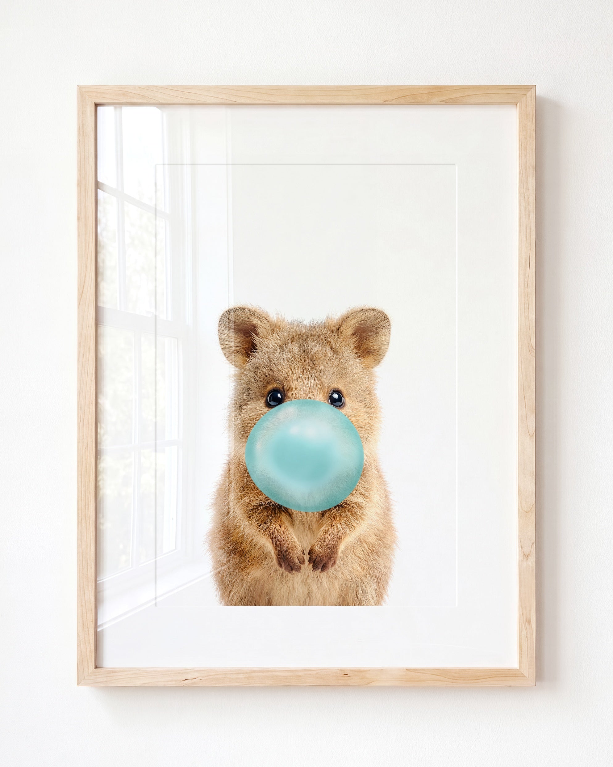 Baby Quokka