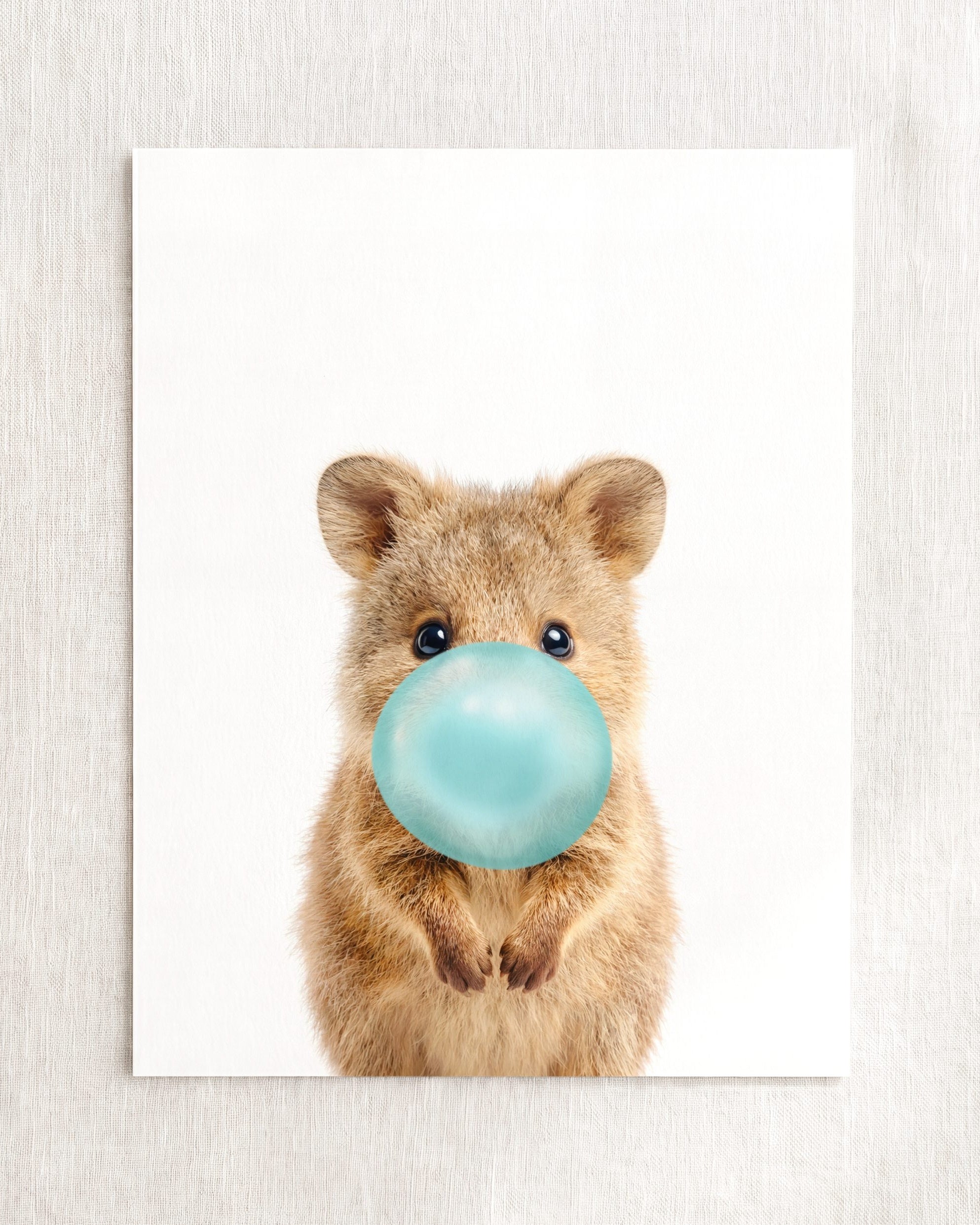 Baby Quokka