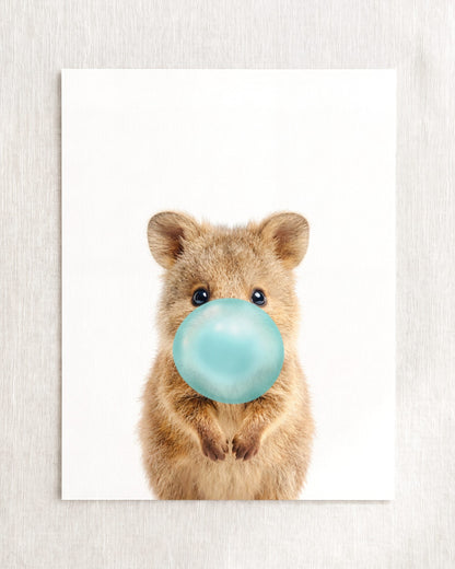 Baby Quokka