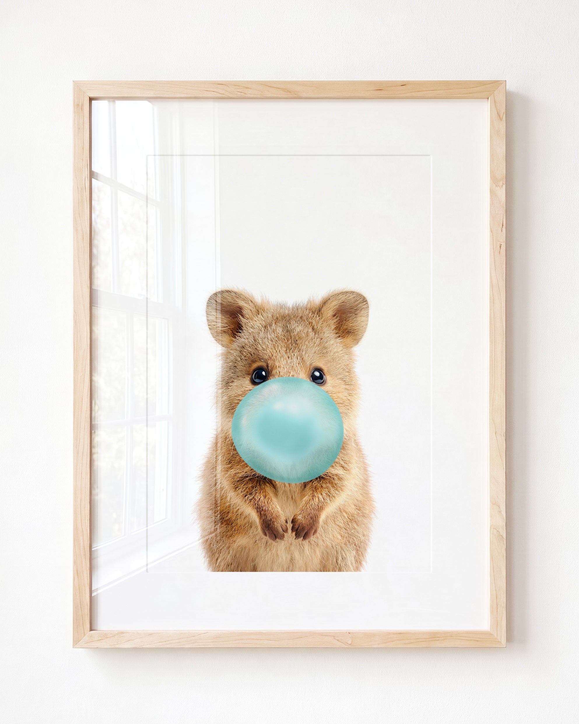 Baby Quokka