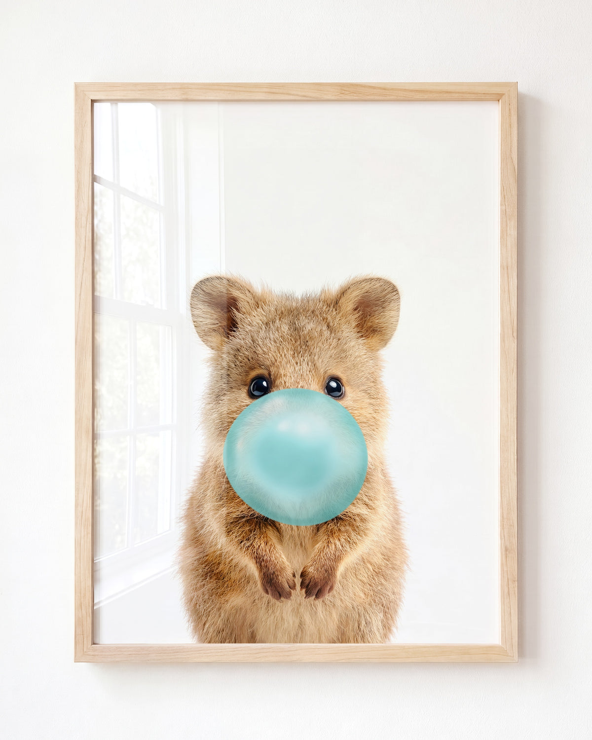 Baby Quokka