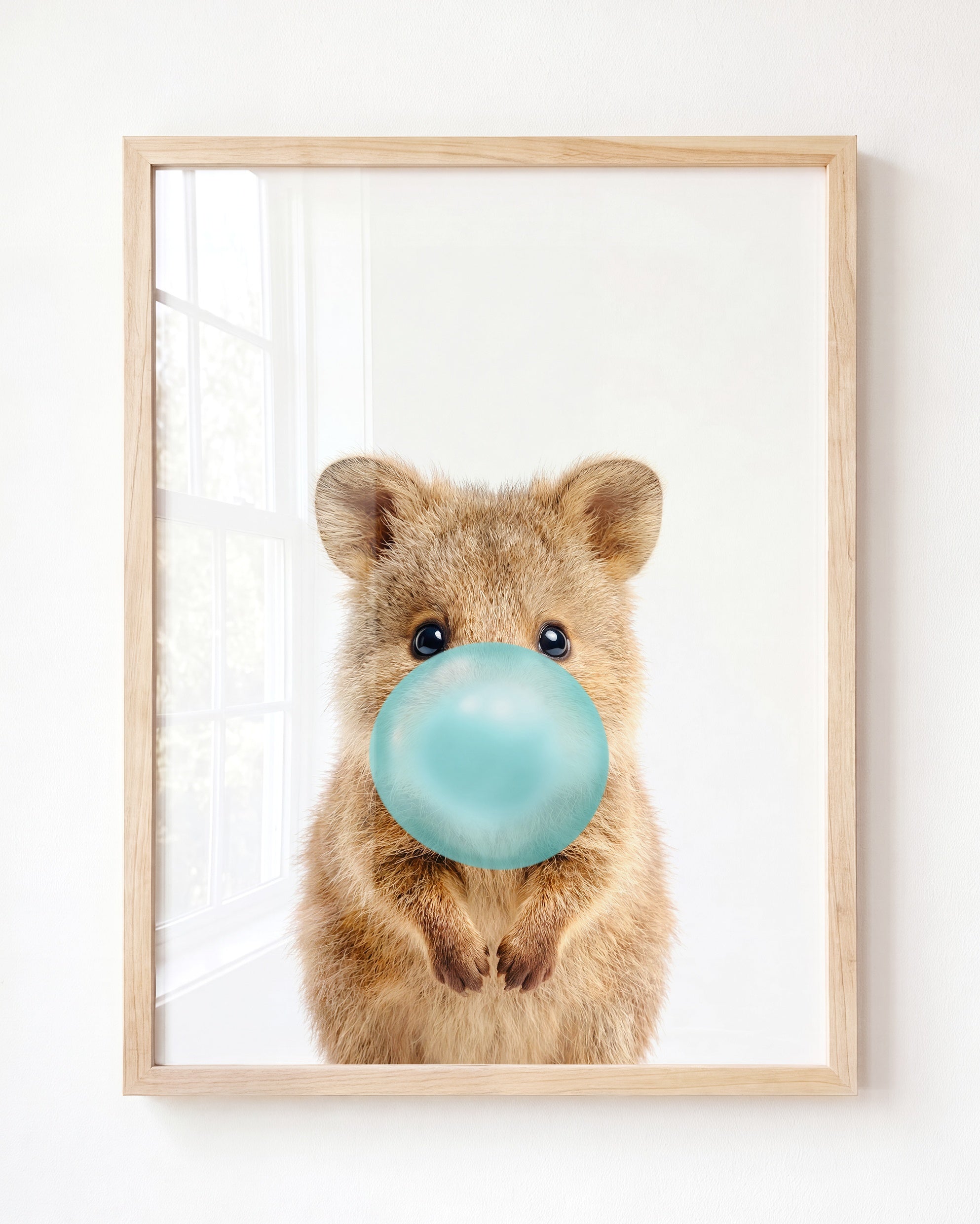 Baby Quokka
