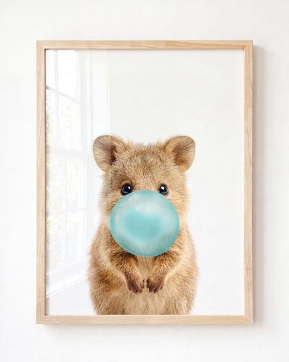 Baby Quokka