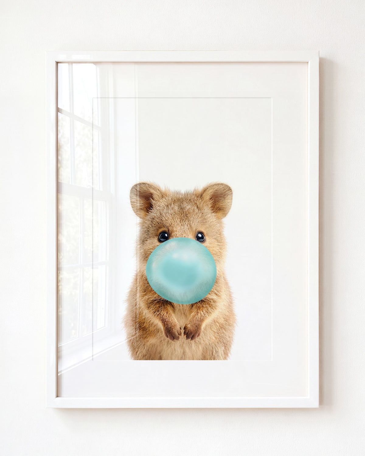 Baby Quokka