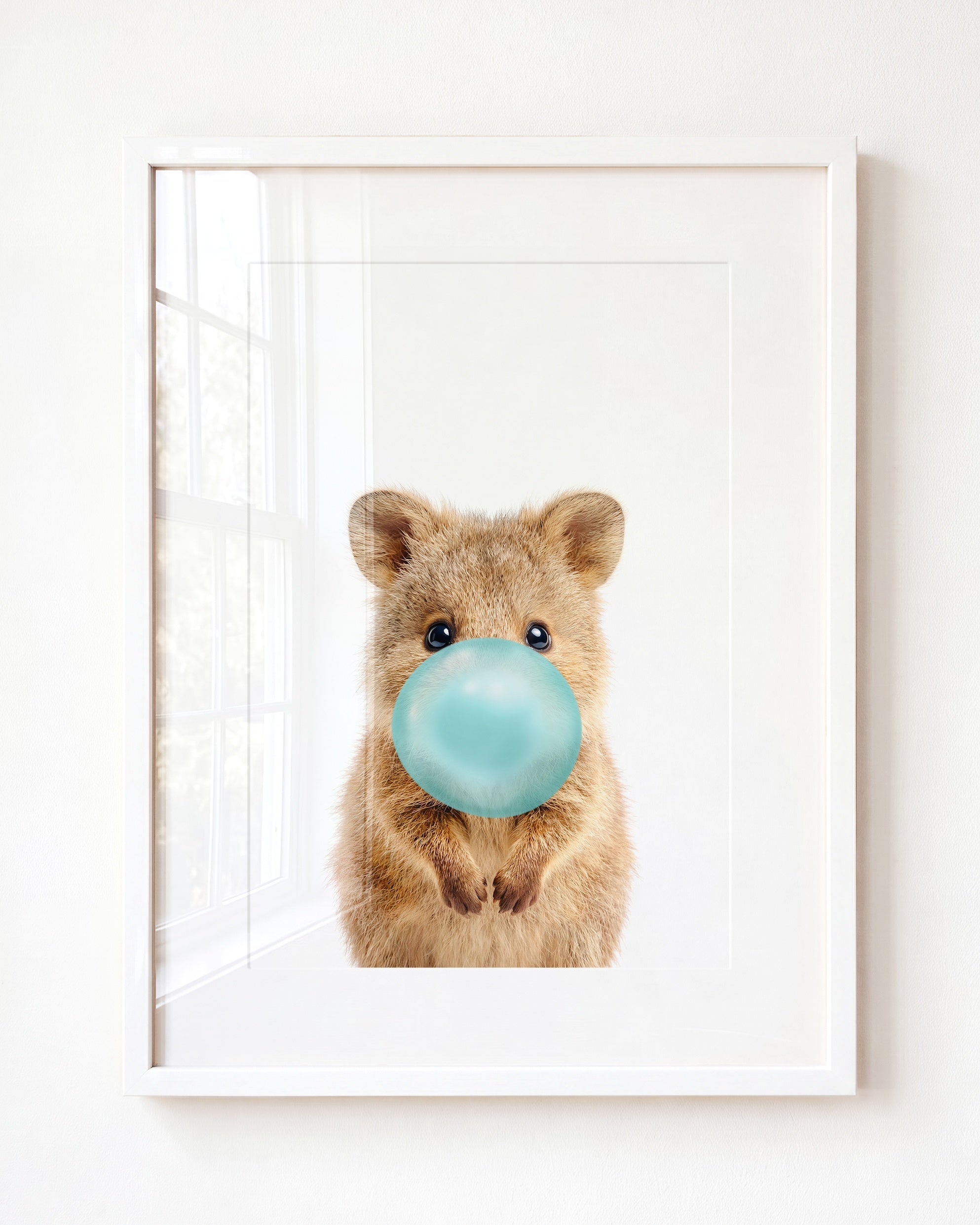 Baby Quokka