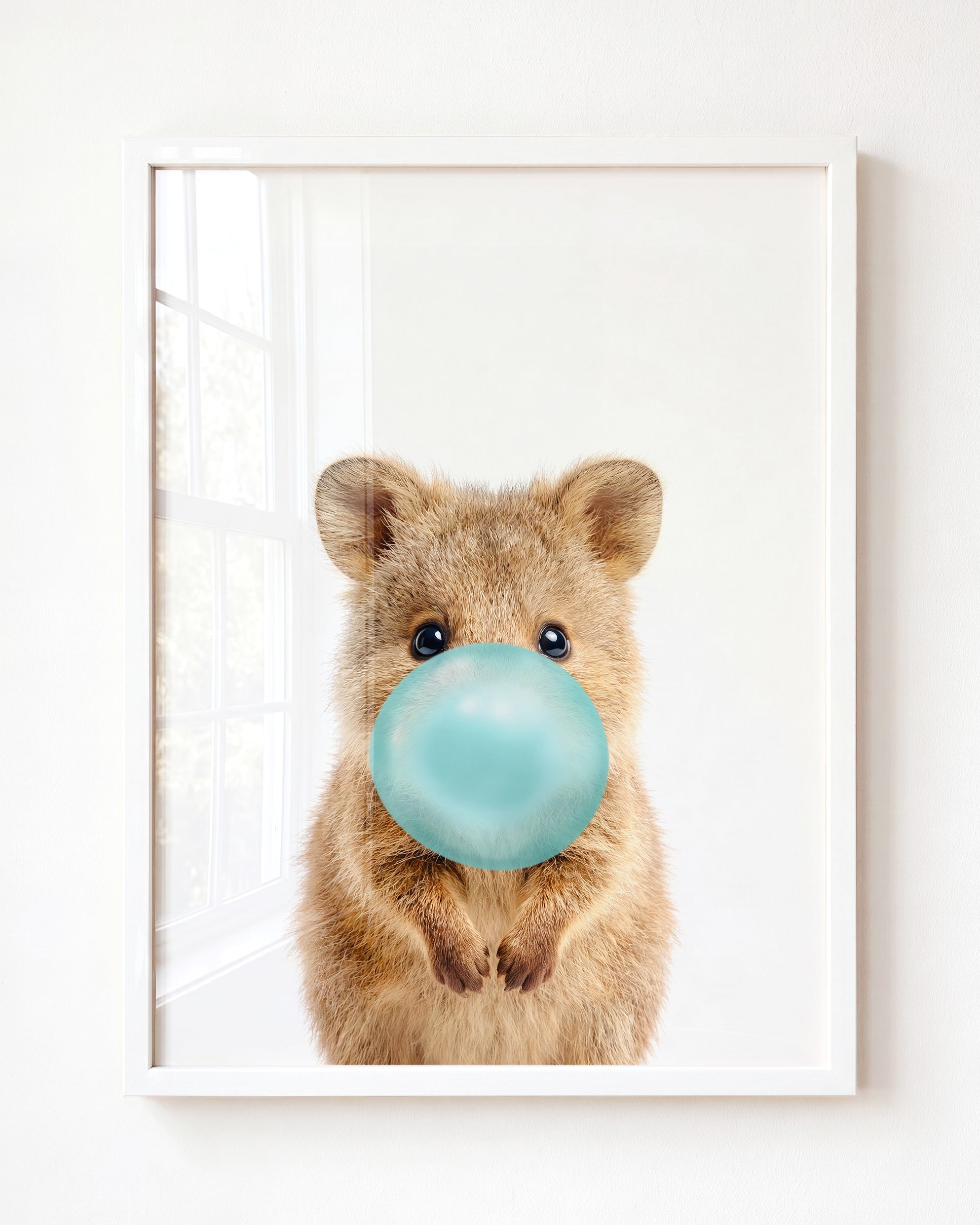 Baby Quokka
