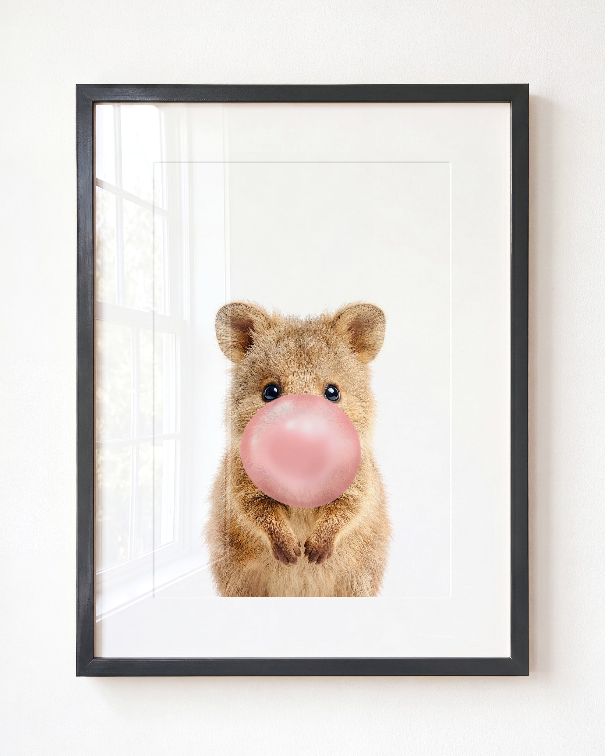 Baby Quokka