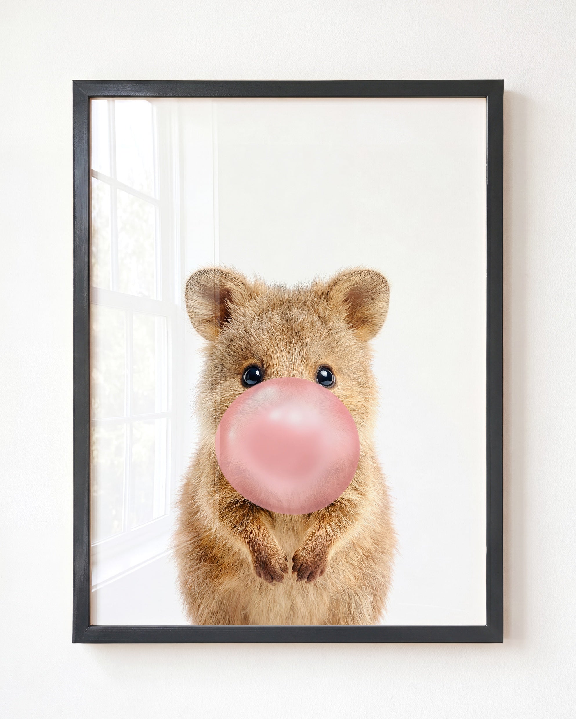 Baby Quokka