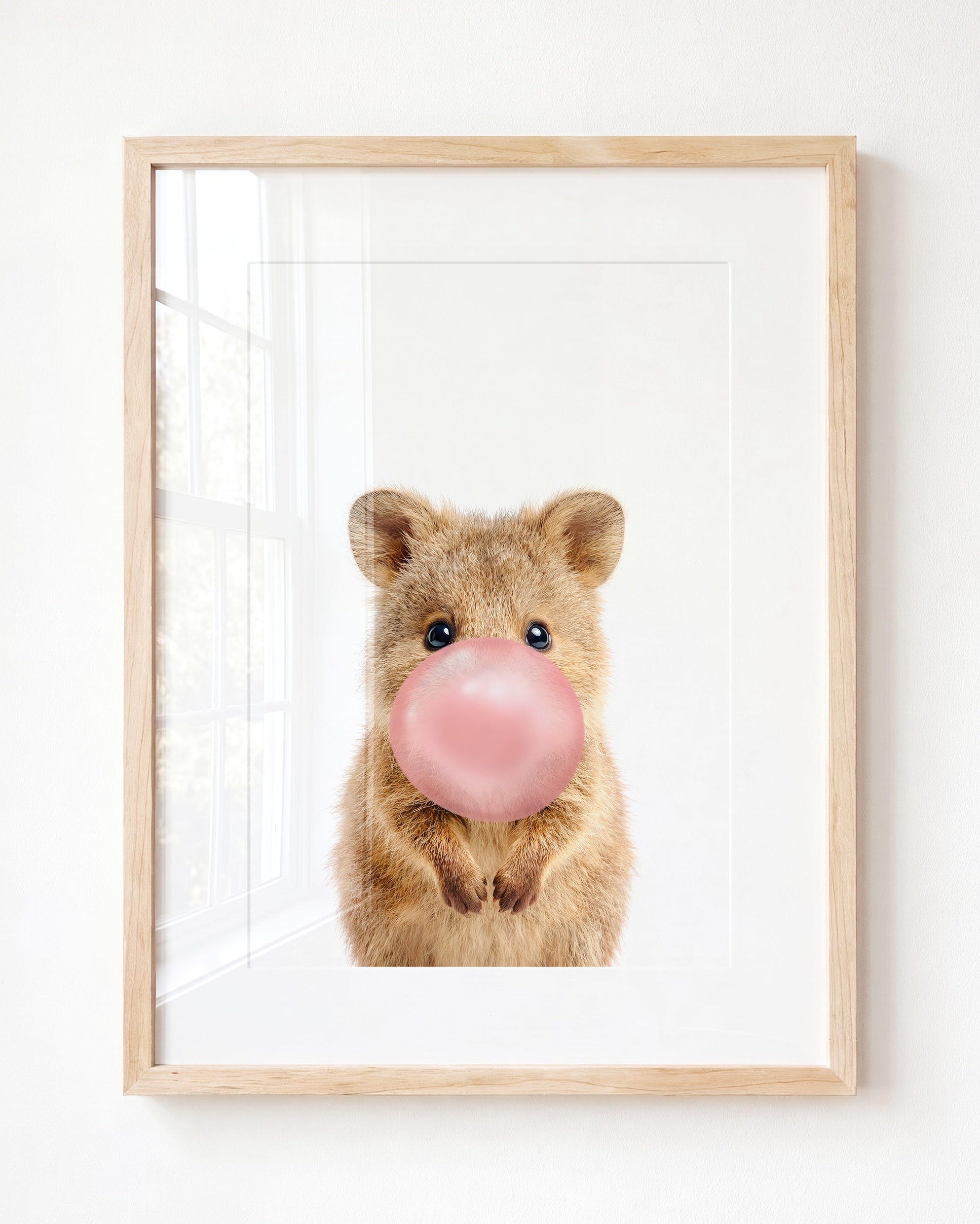 Baby Quokka
