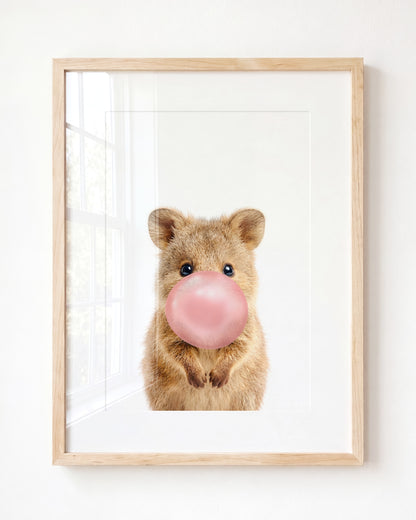 Baby Quokka