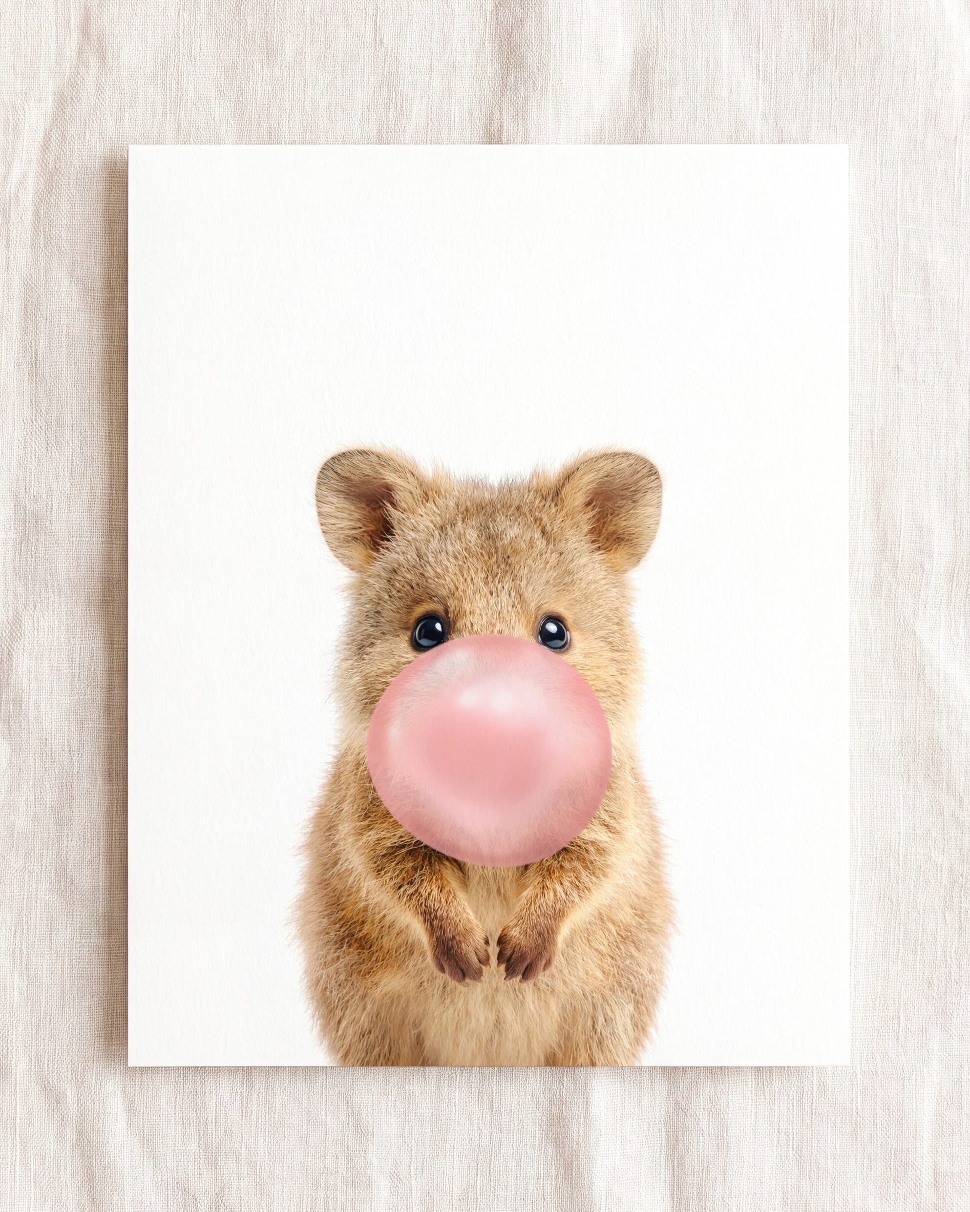 Baby Quokka