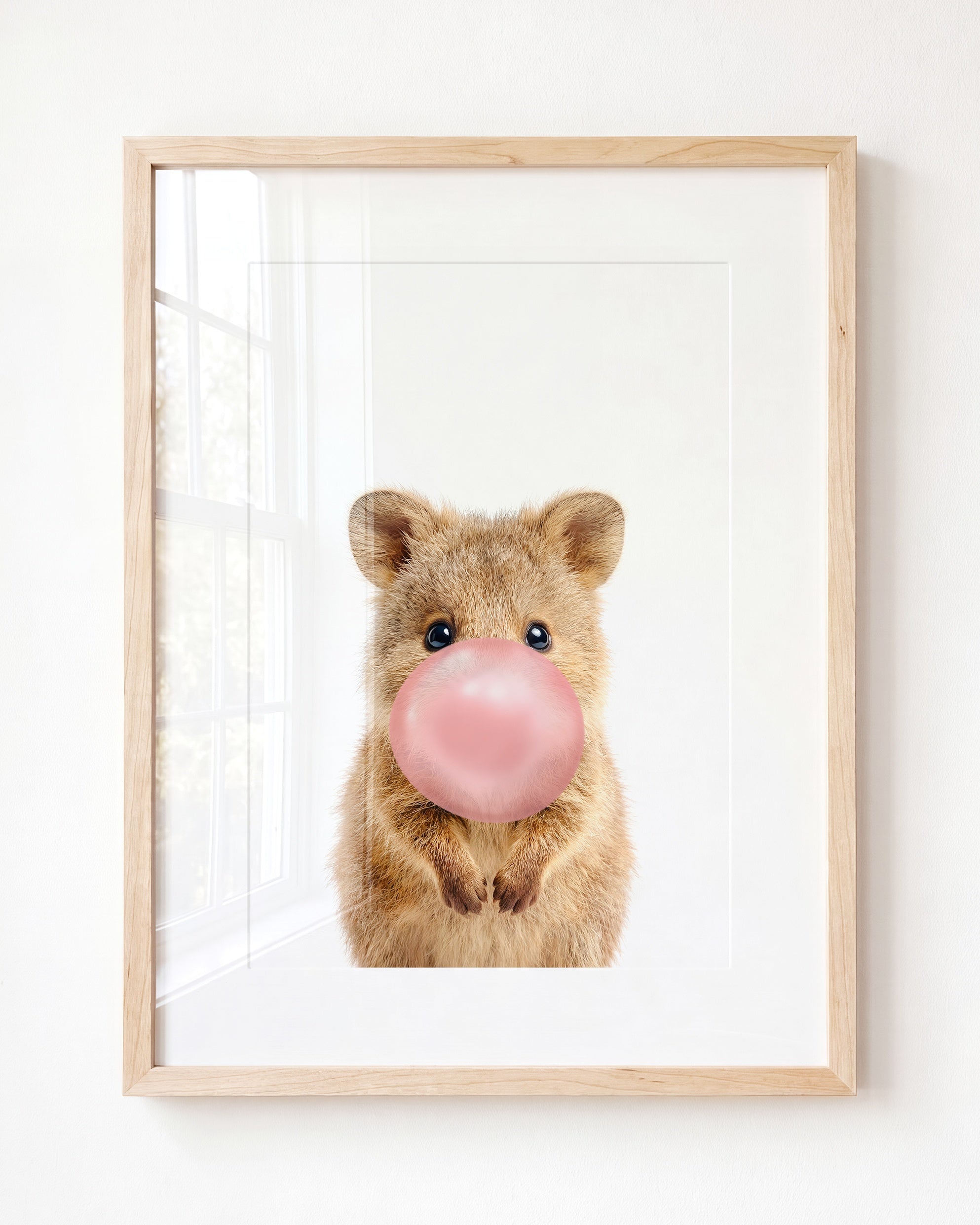 Baby Quokka