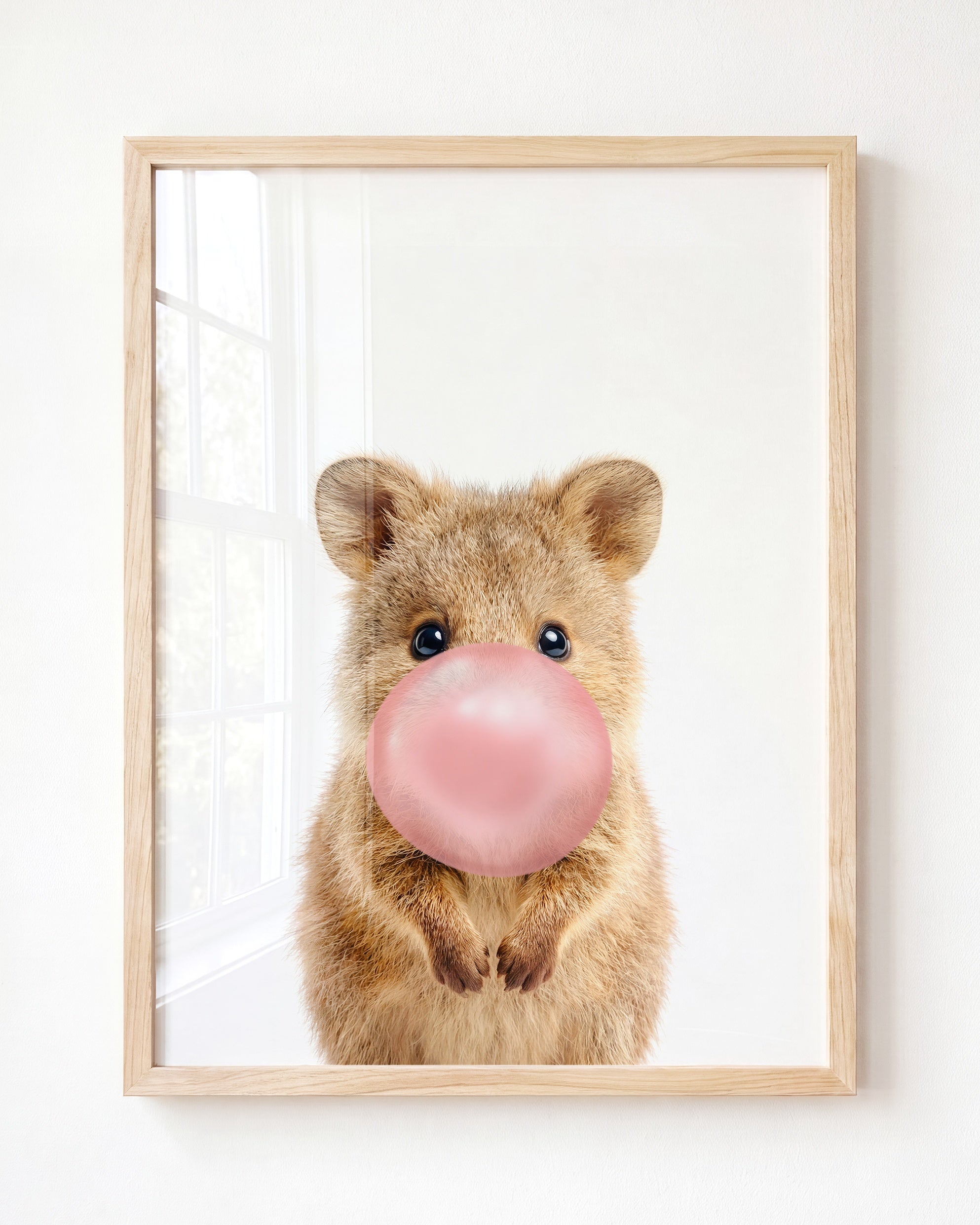 Baby Quokka