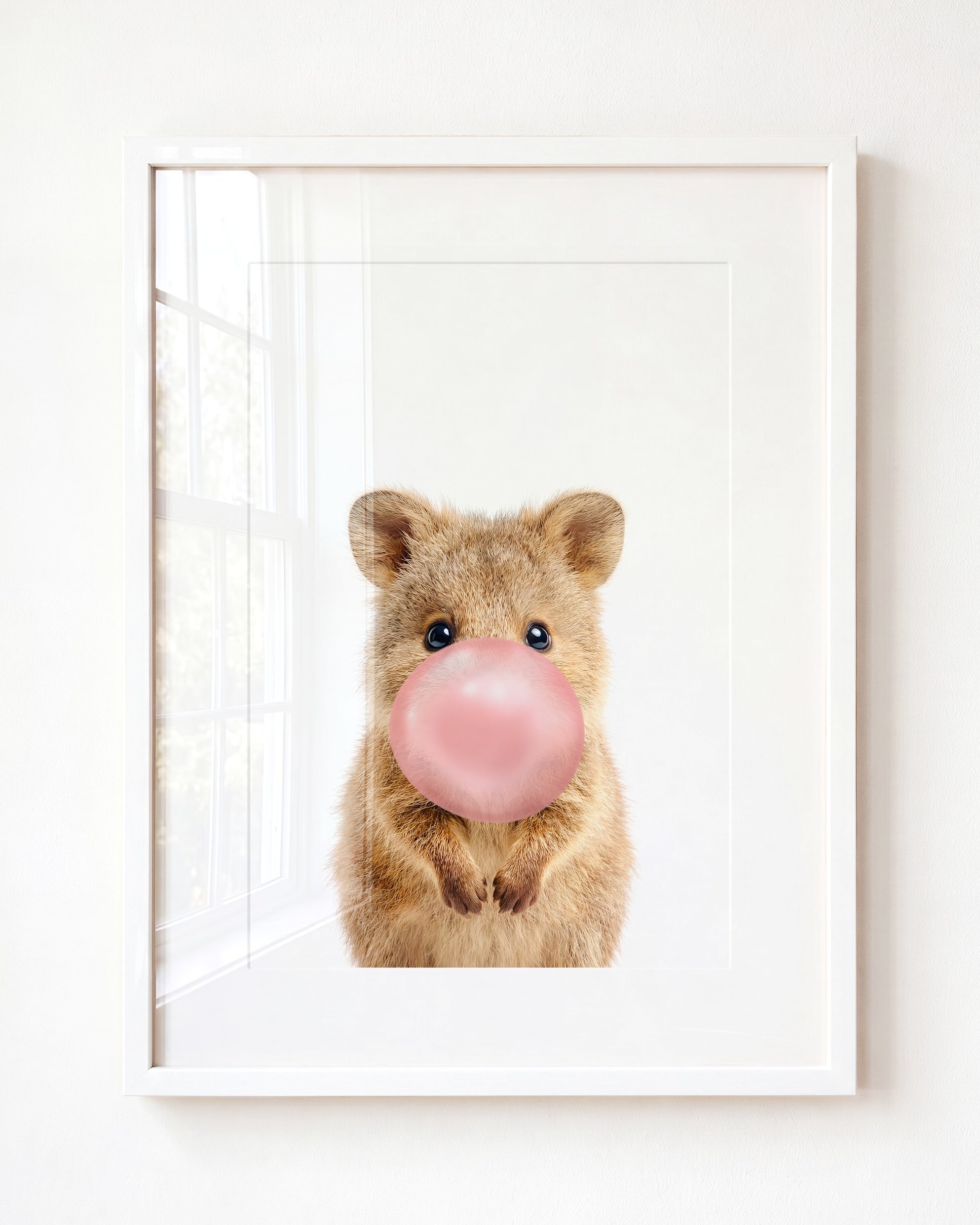 Baby Quokka