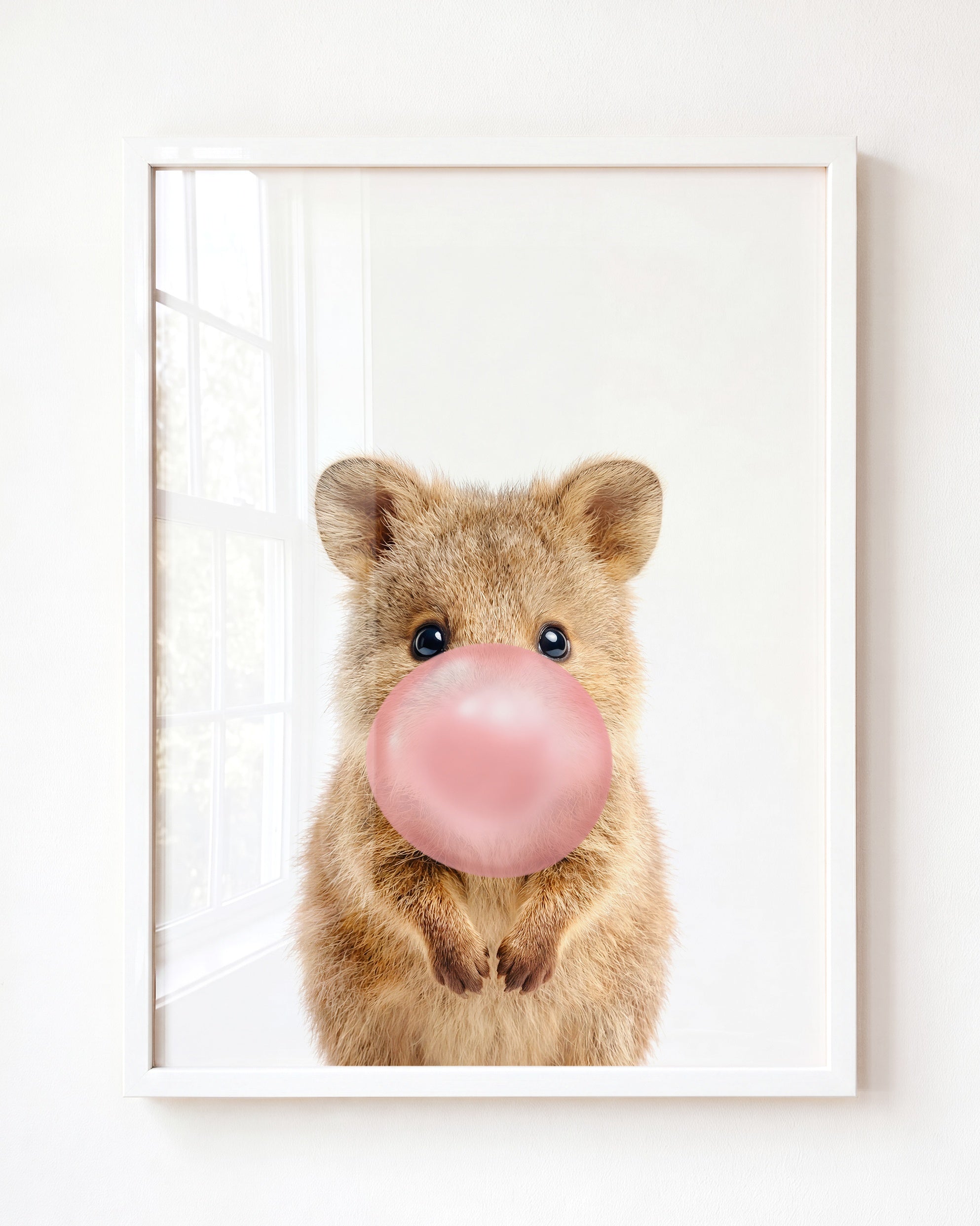 Baby Quokka