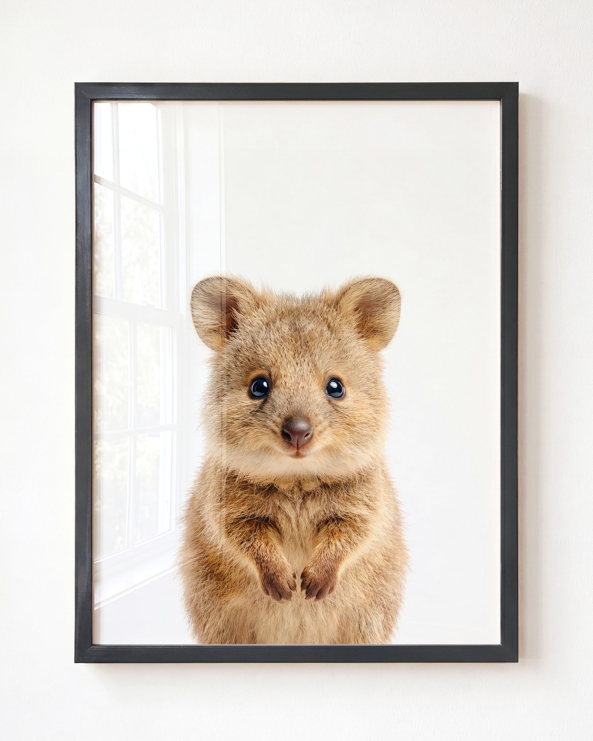 Baby Quokka