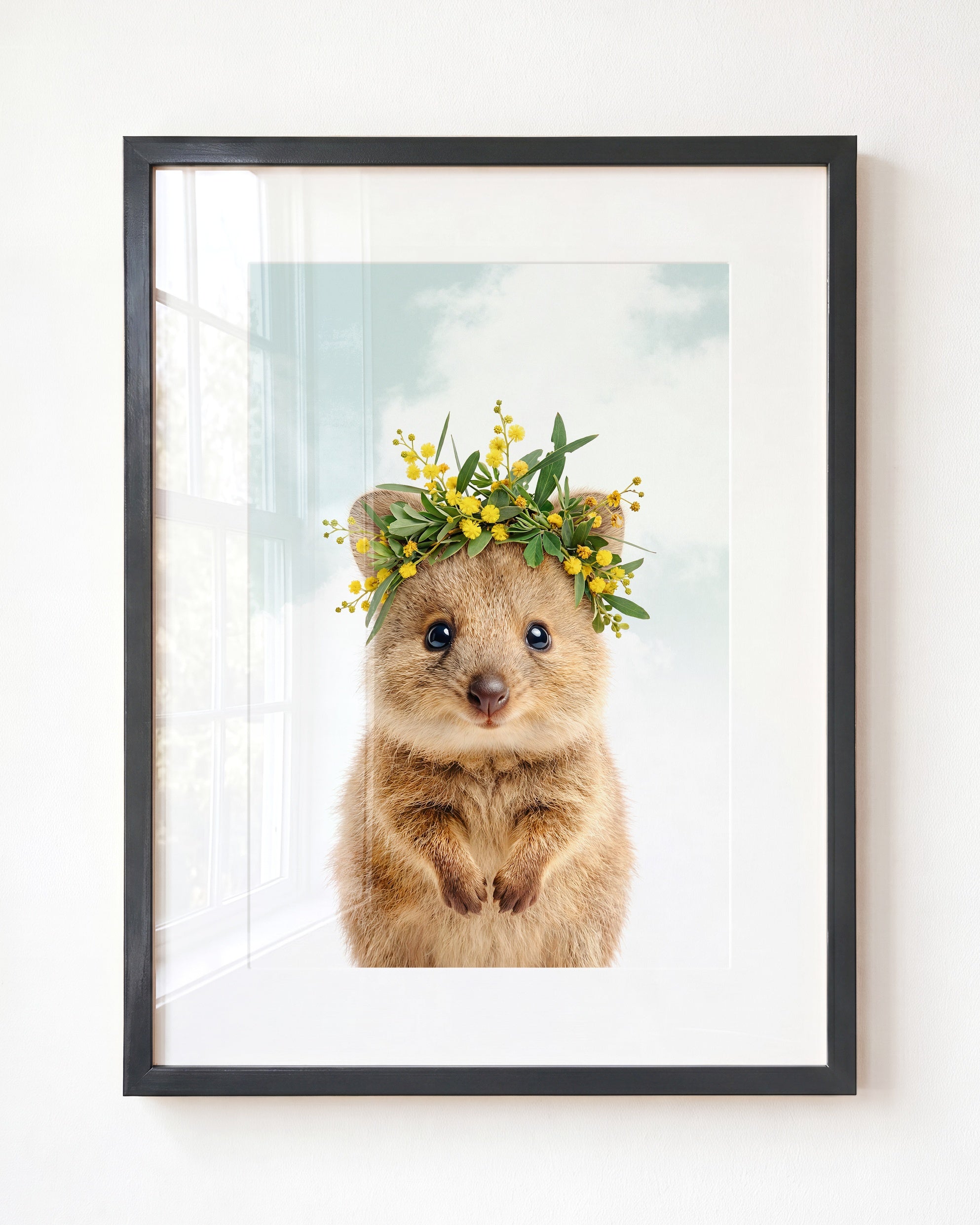 Baby Quokka