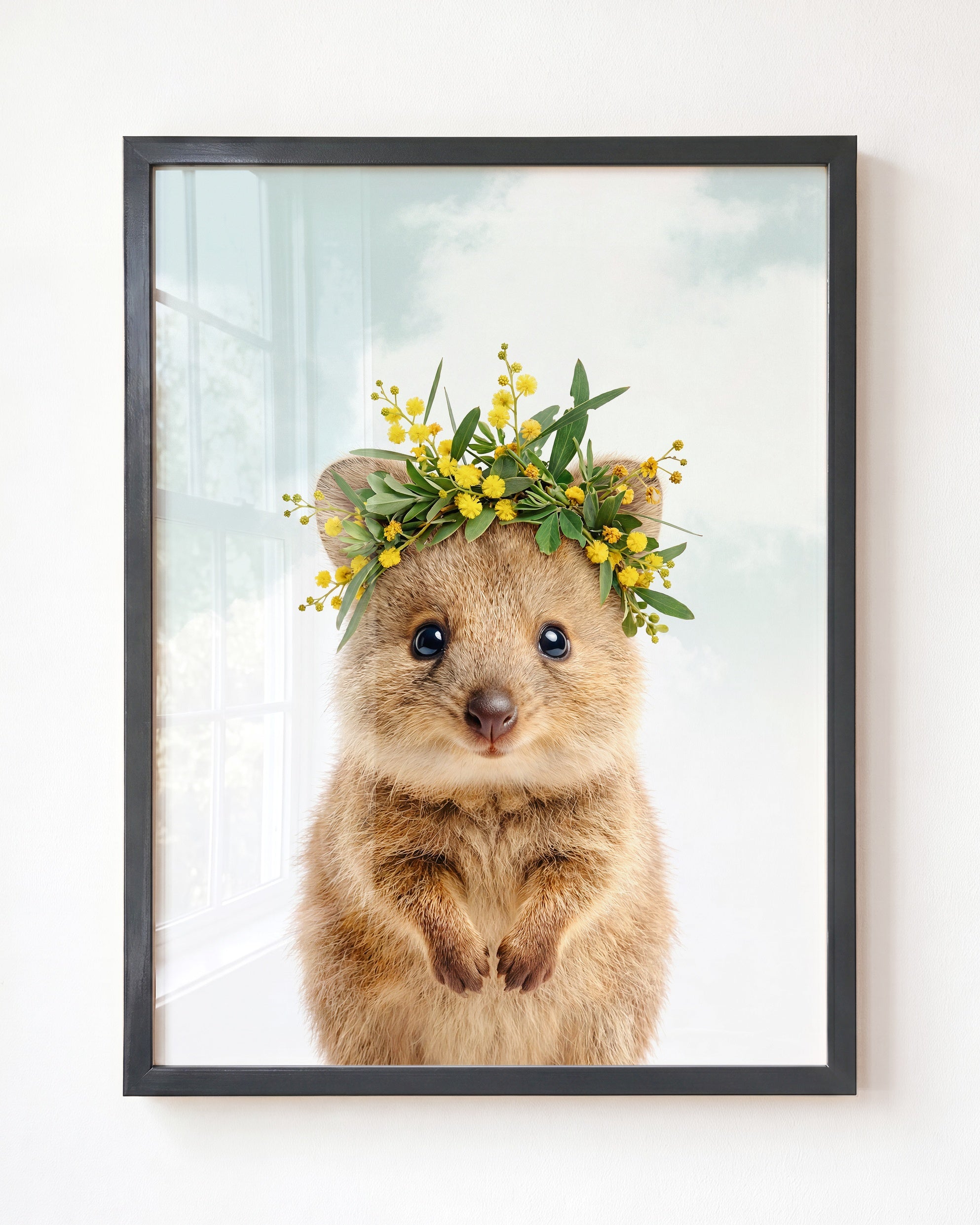 Baby Quokka
