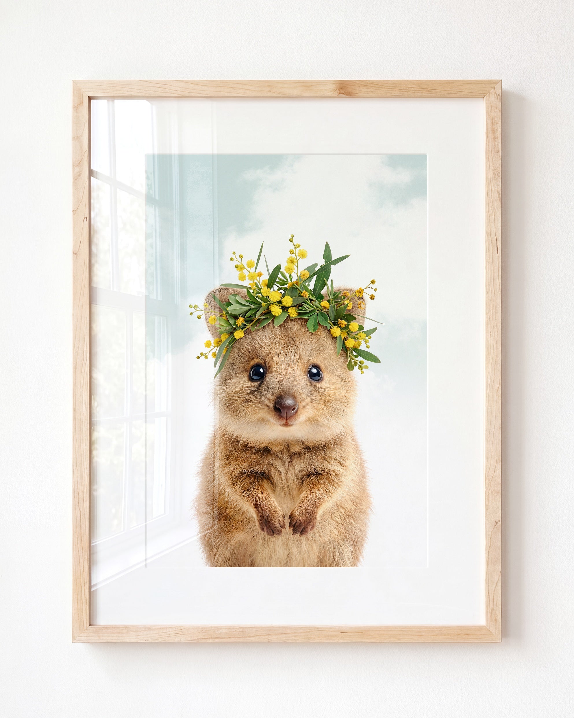 Baby Quokka