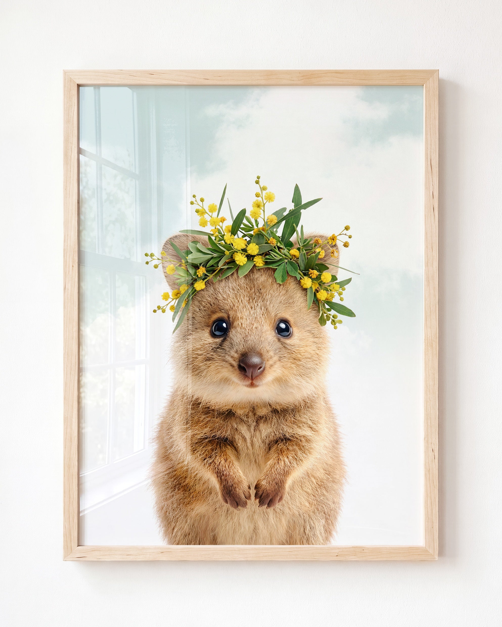 Baby Quokka