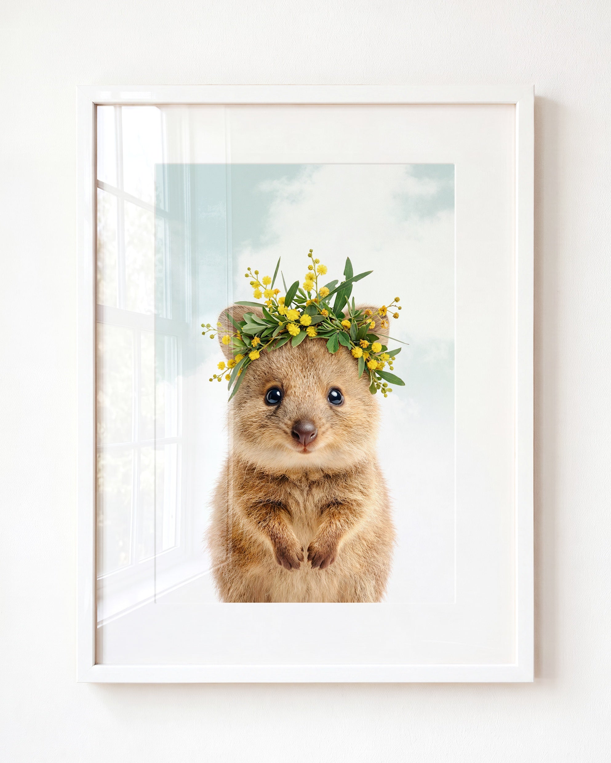 Baby Quokka