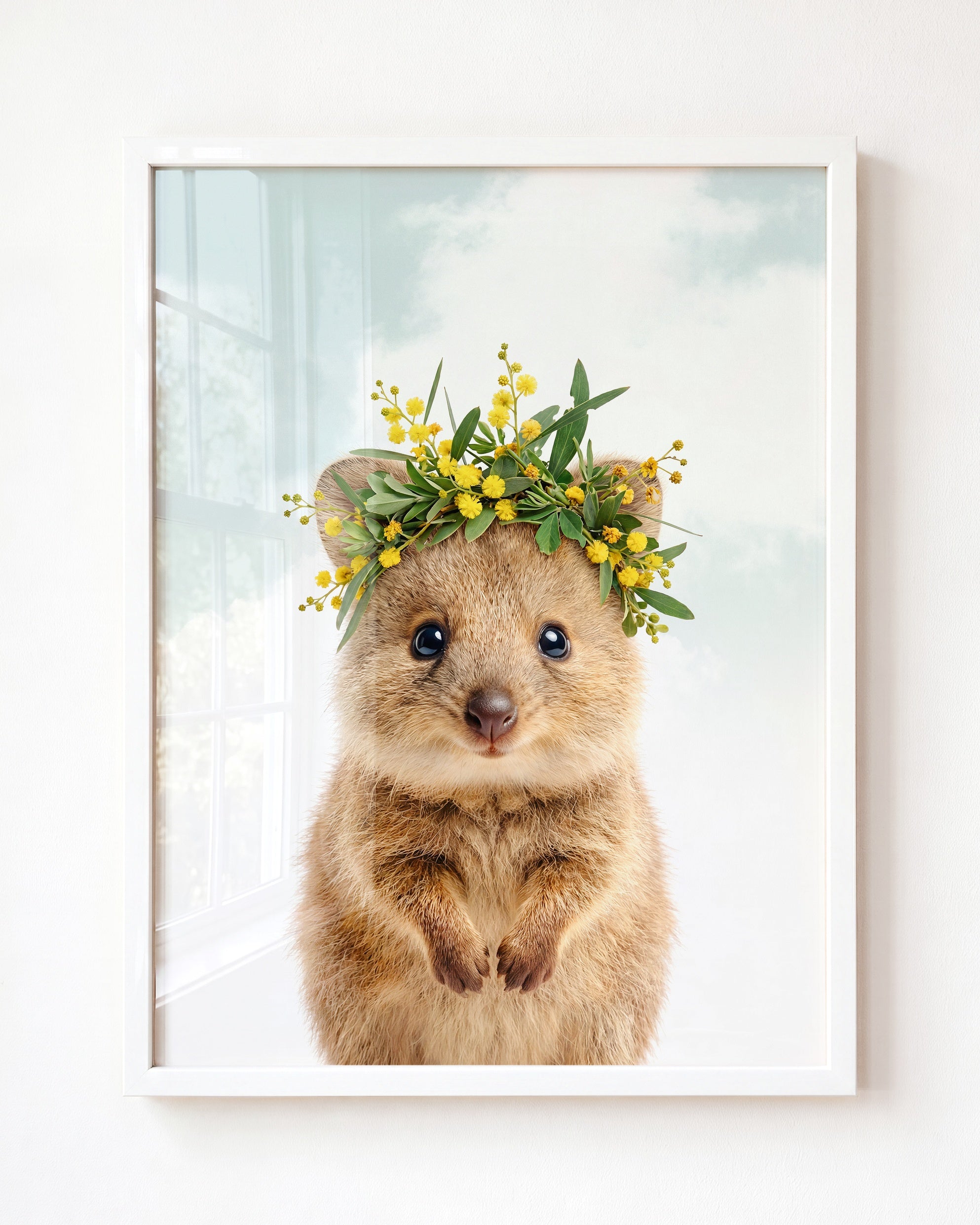 Baby Quokka