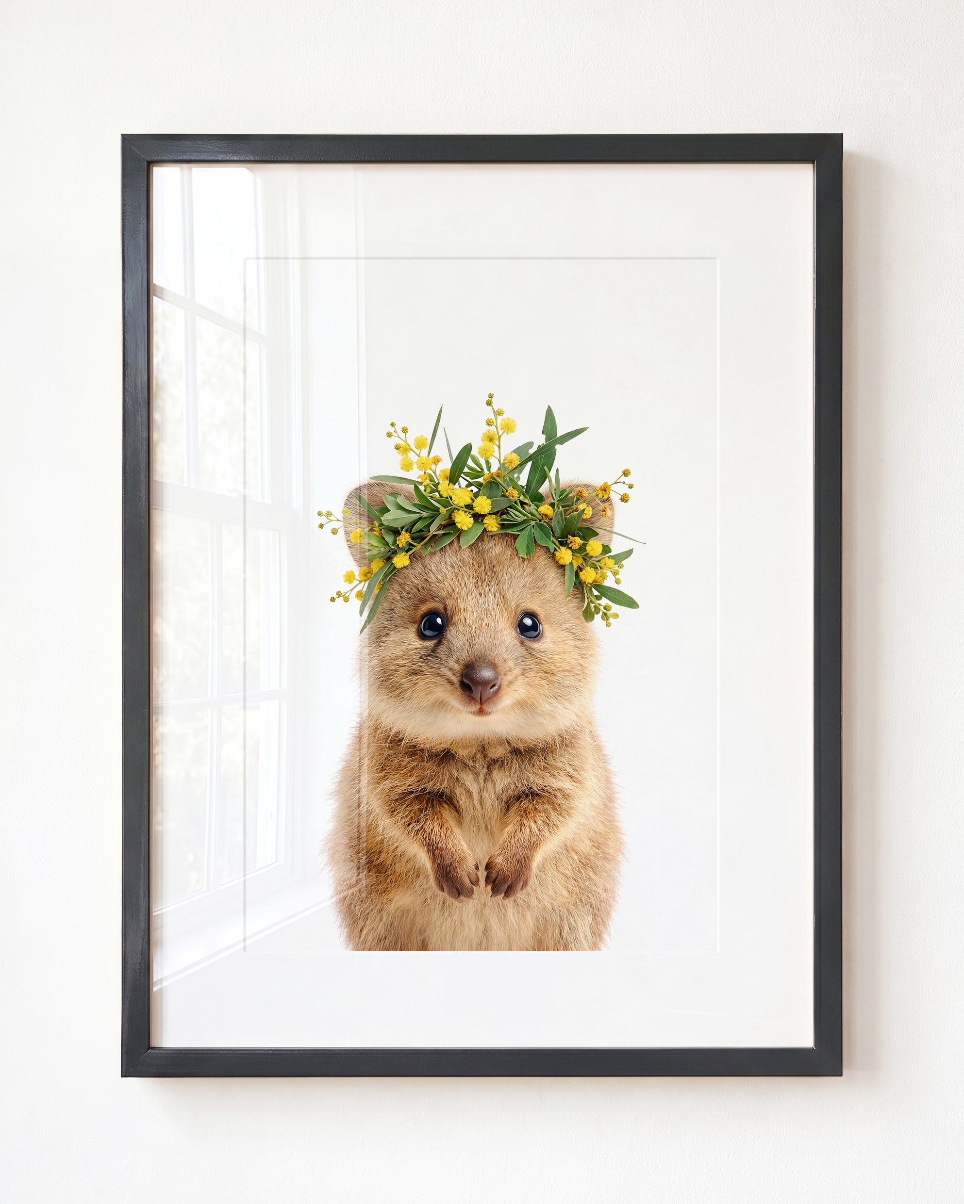 Baby Quokka