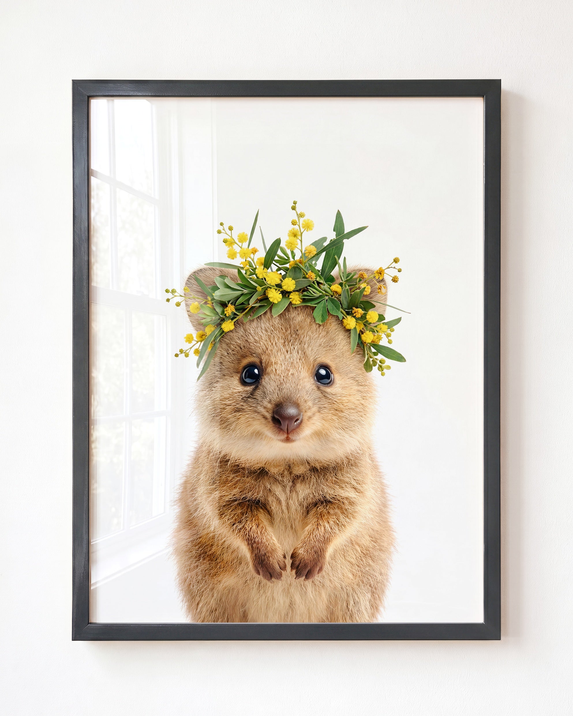 Baby Quokka