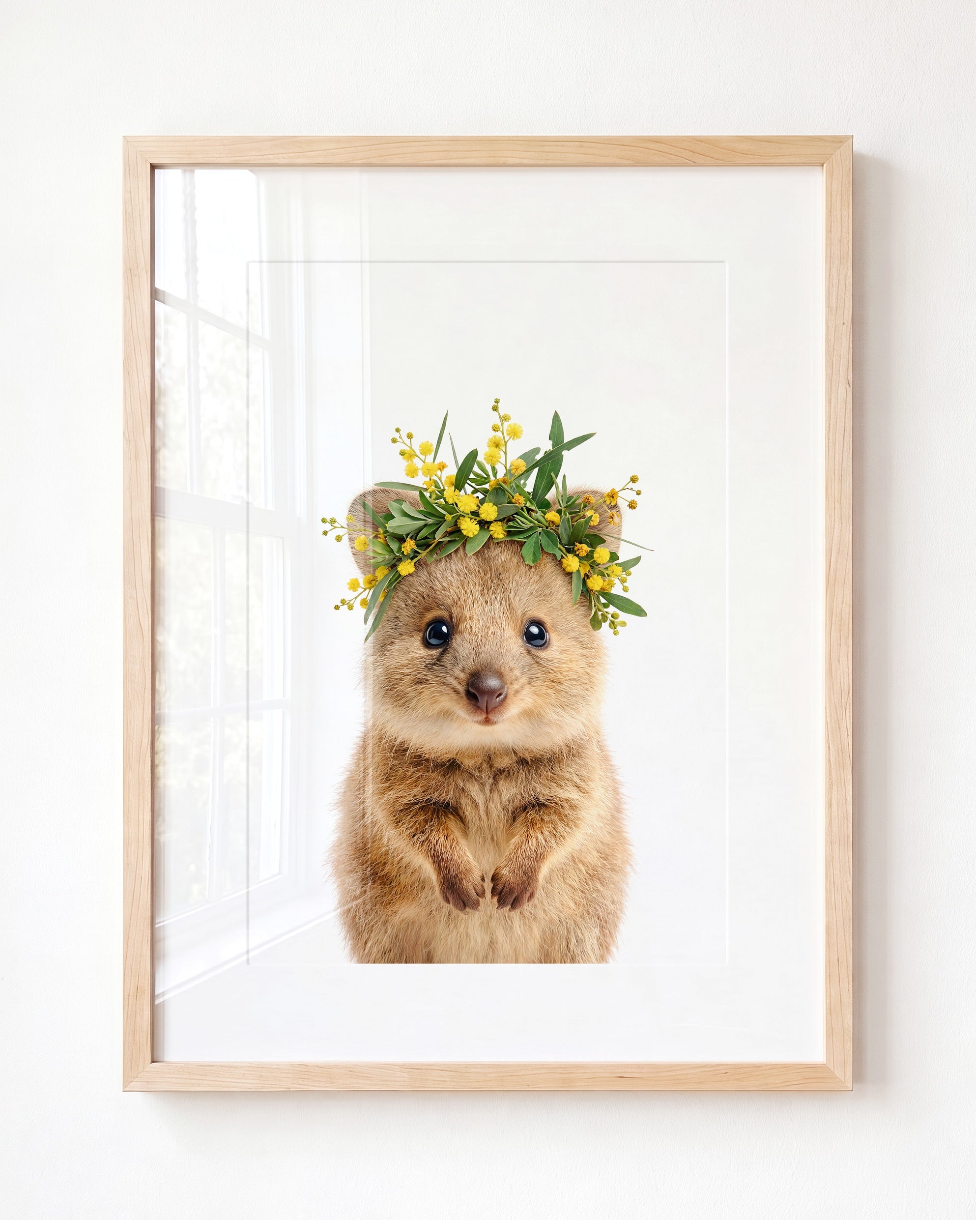 Baby Quokka