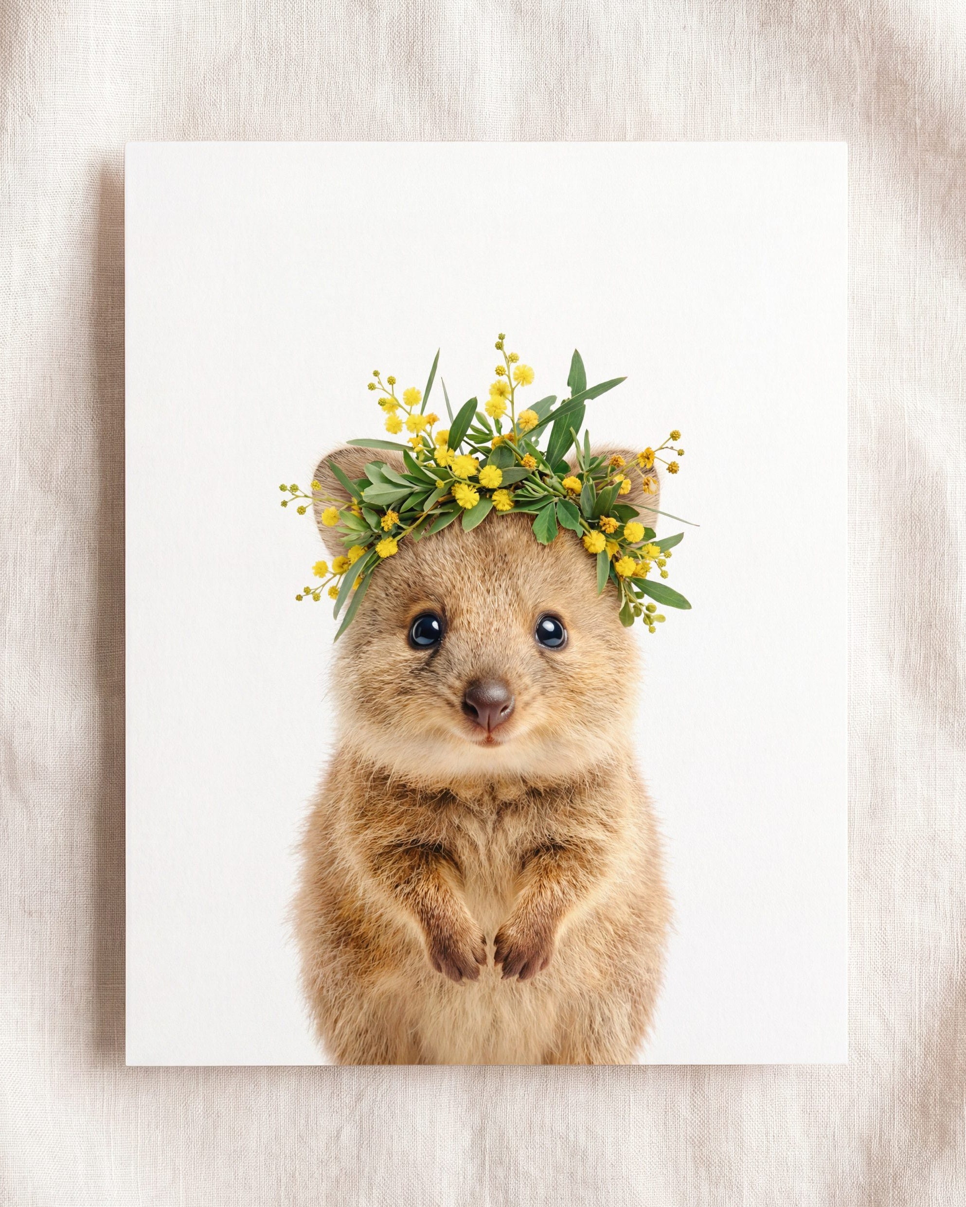 Baby Quokka