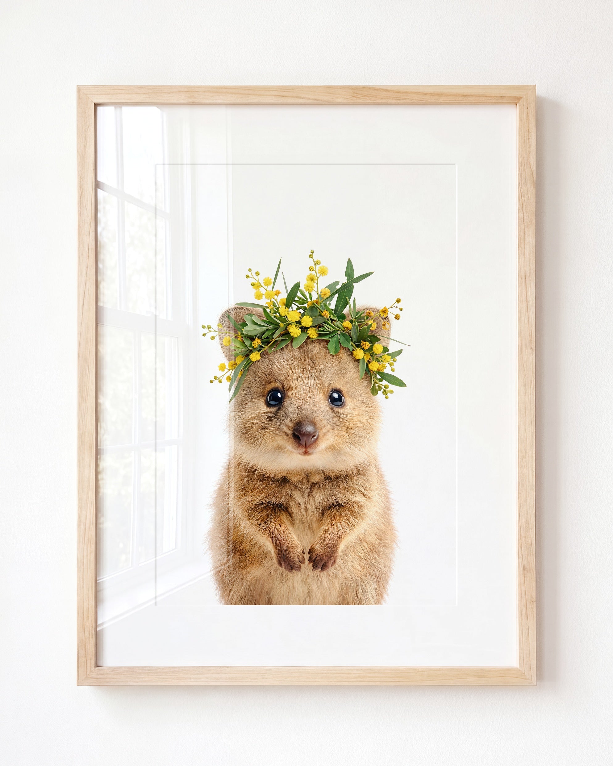 Baby Quokka