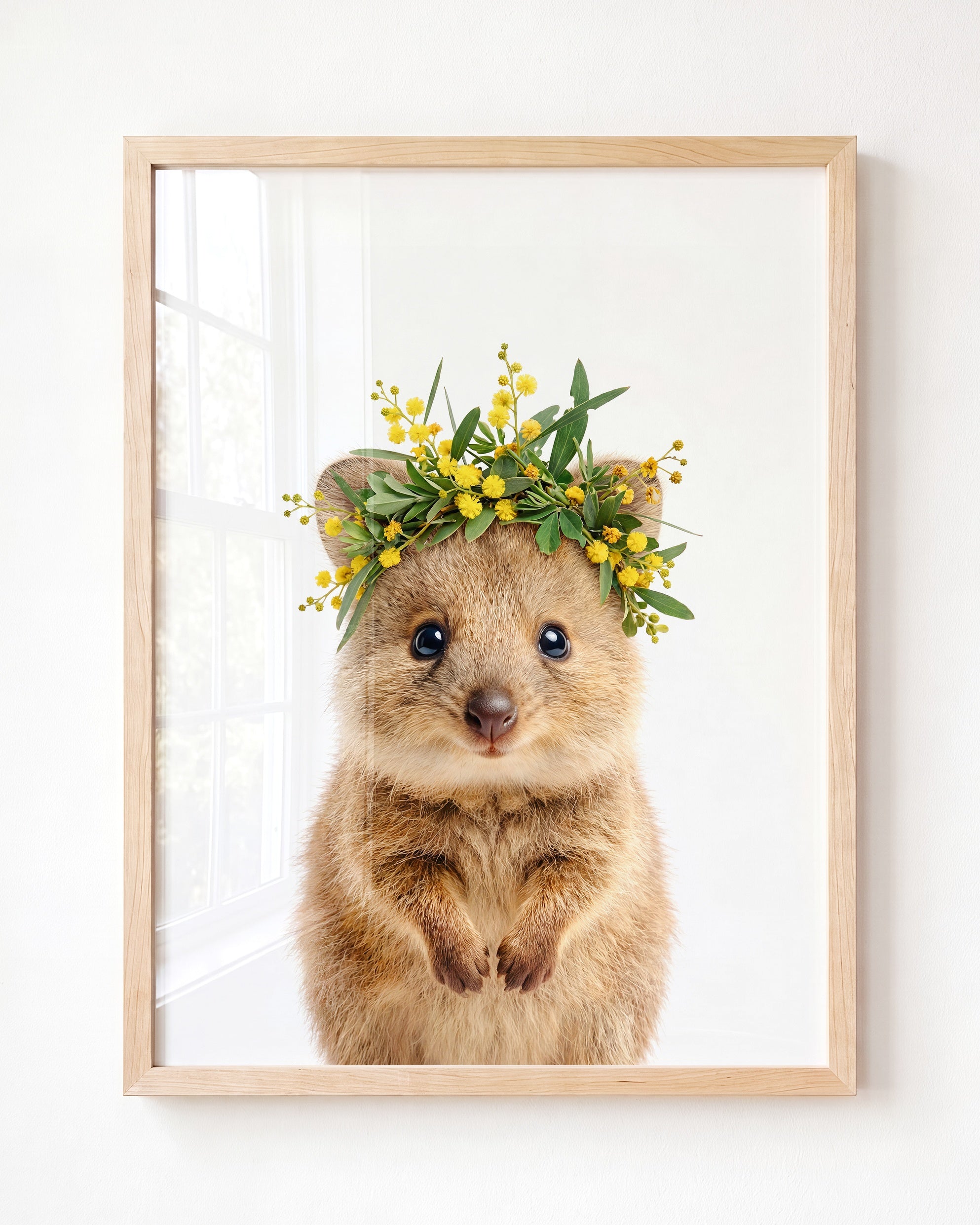 Baby Quokka