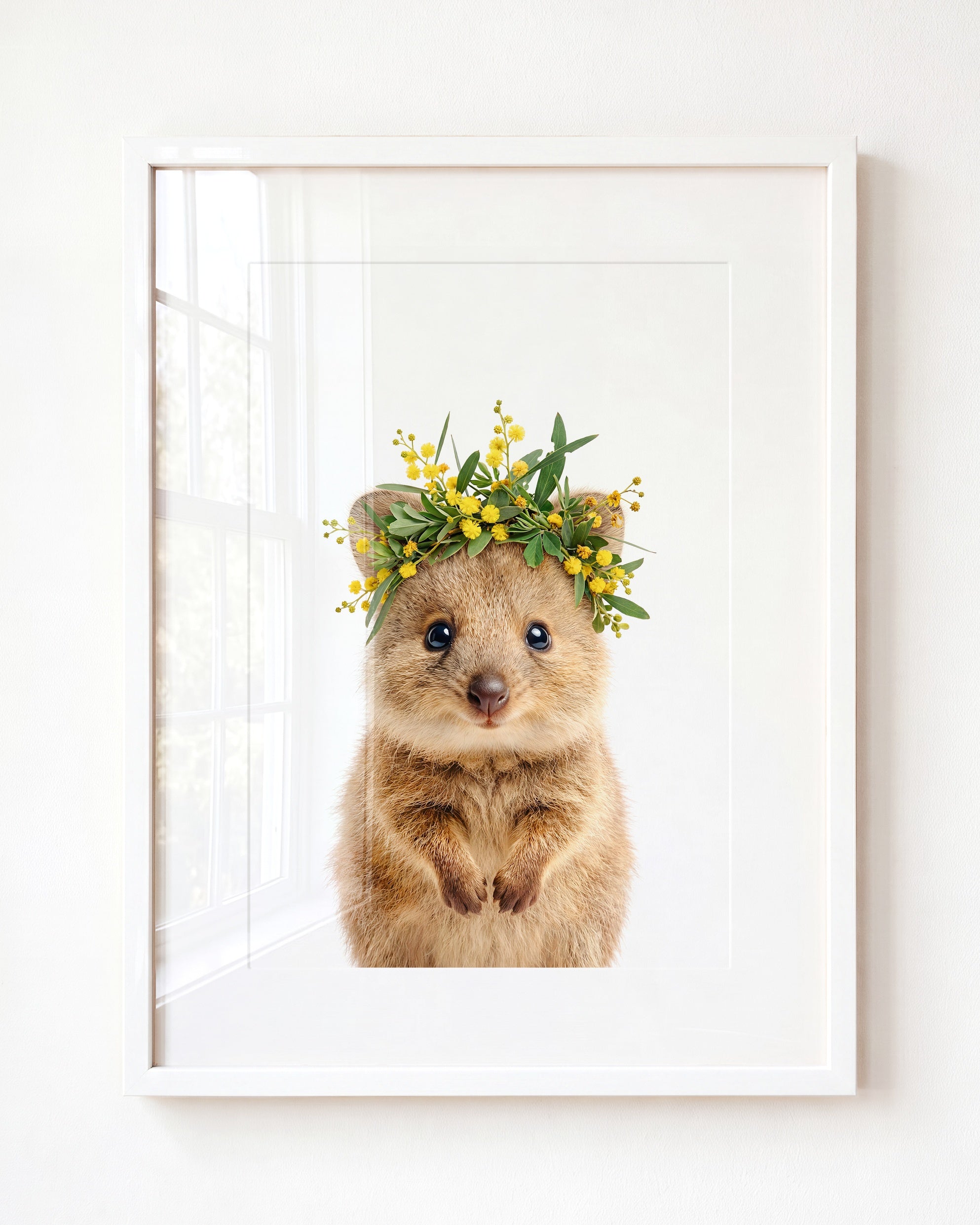 Baby Quokka