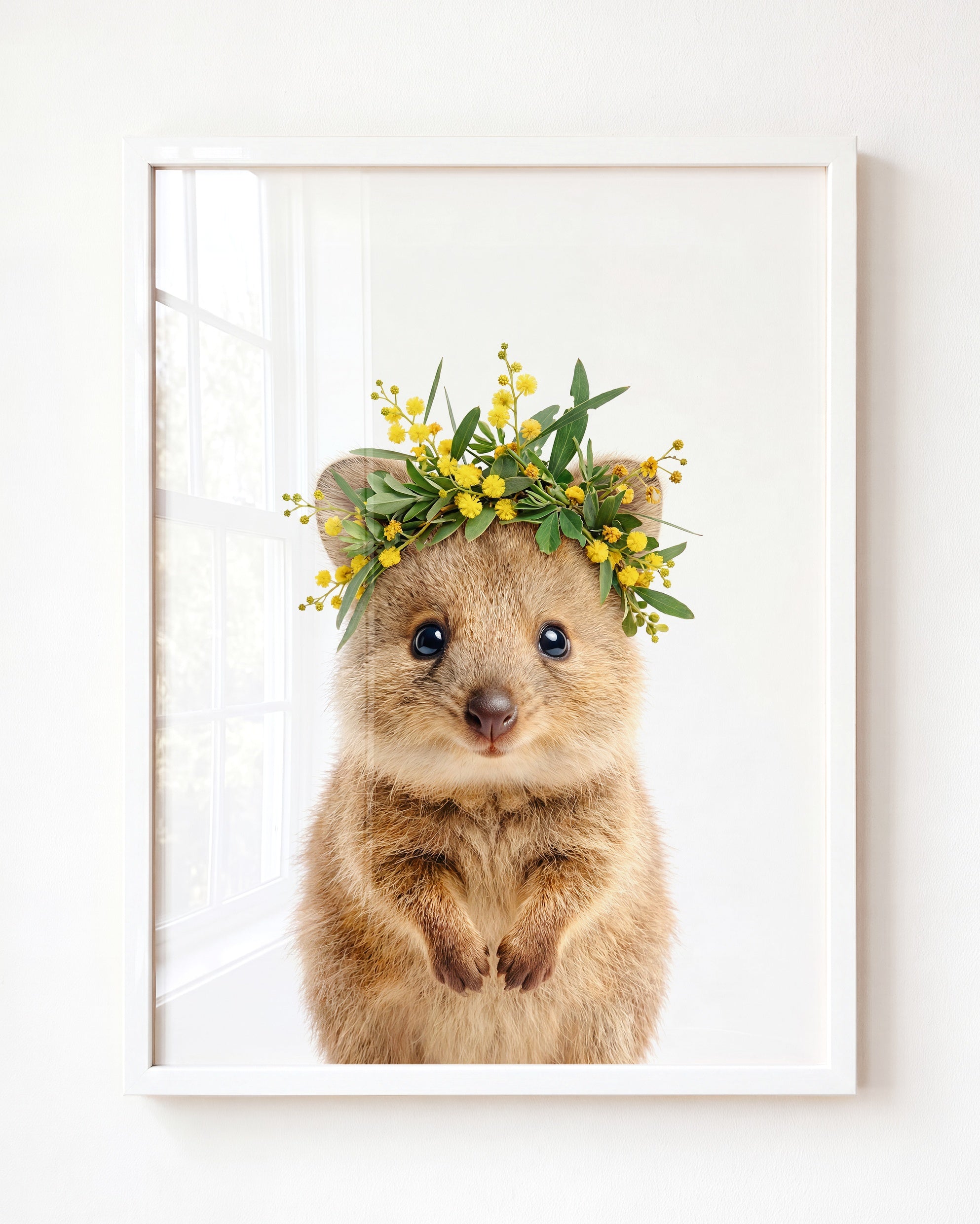 Baby Quokka
