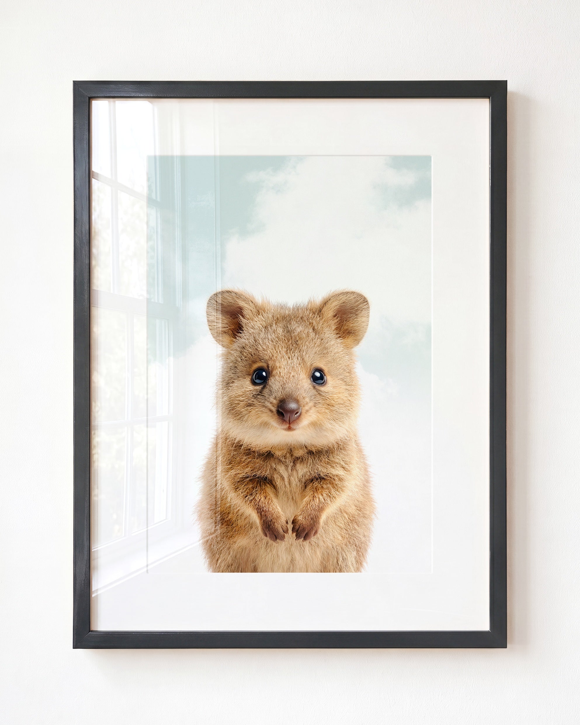 Baby Quokka