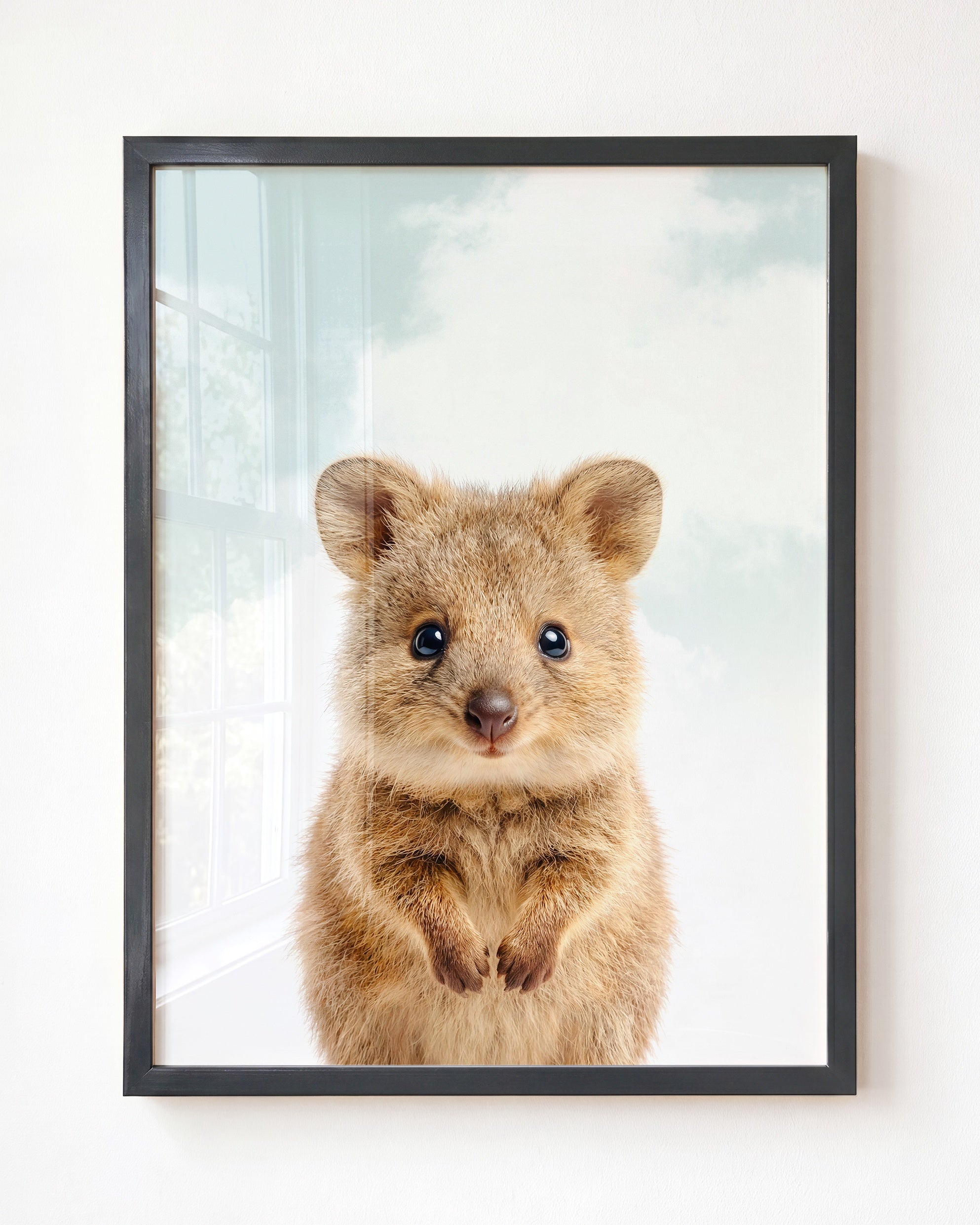 Baby Quokka