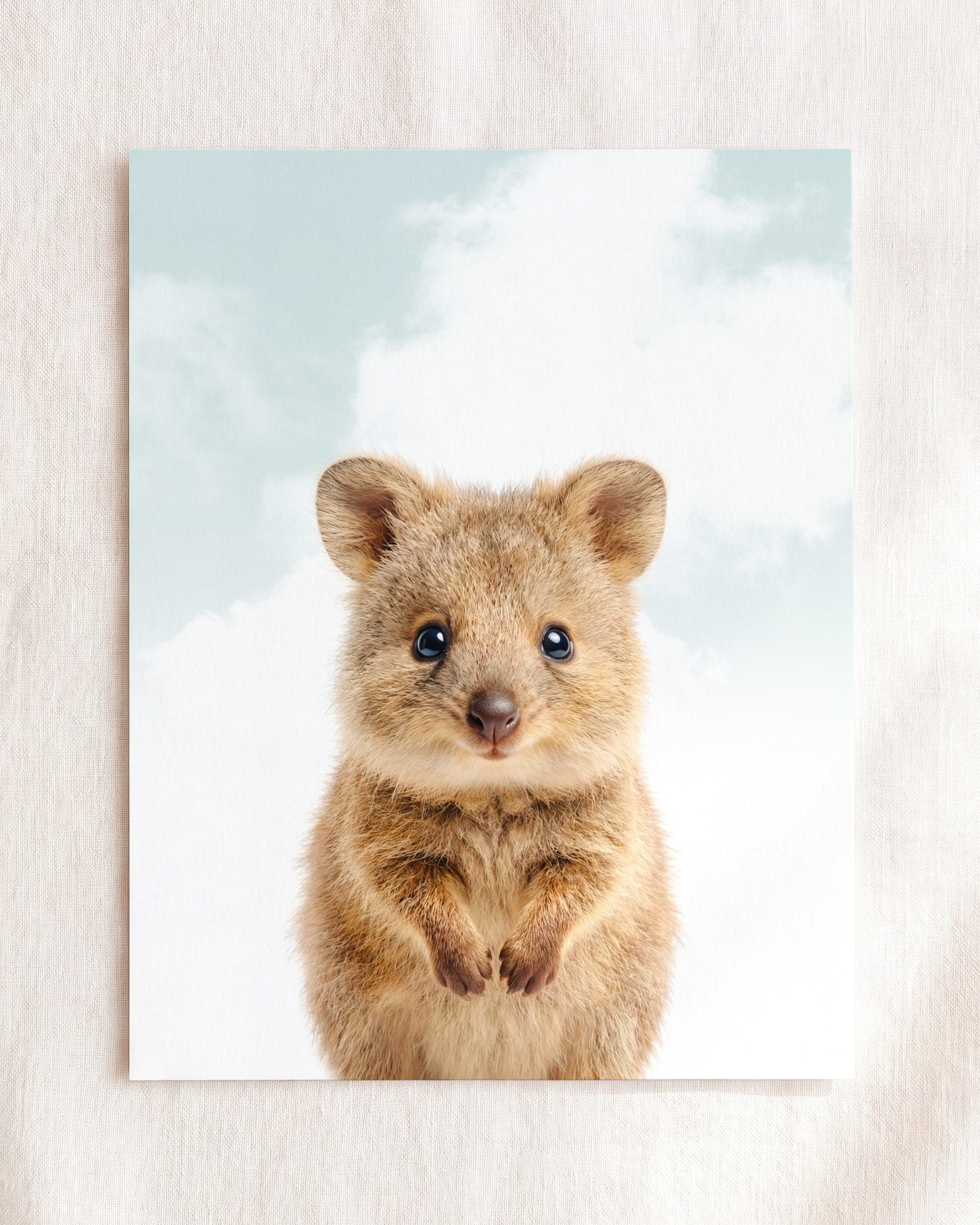 Baby Quokka